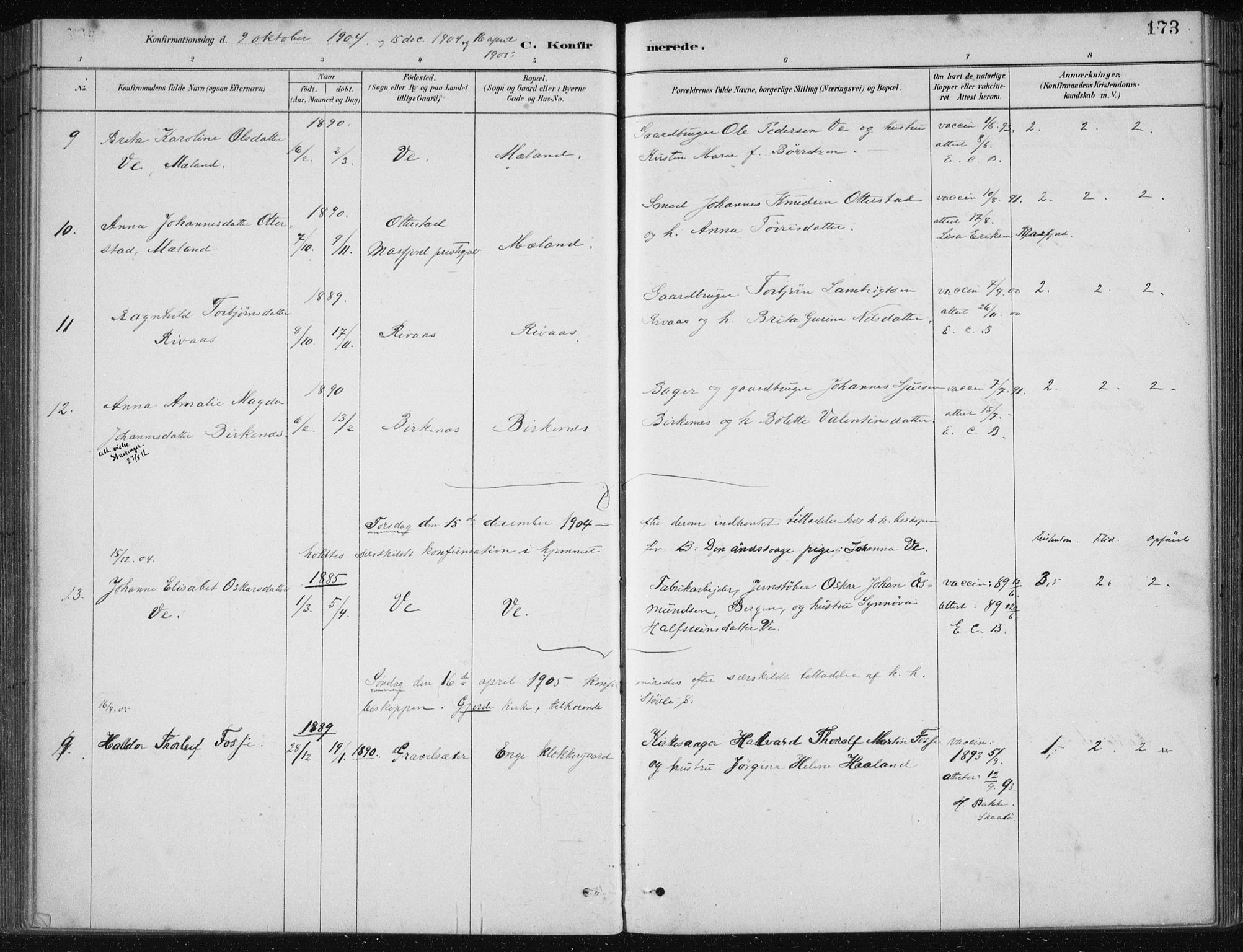 Etne sokneprestembete, SAB/A-75001/H/Haa: Parish register (official) no. C  1, 1879-1919, p. 173