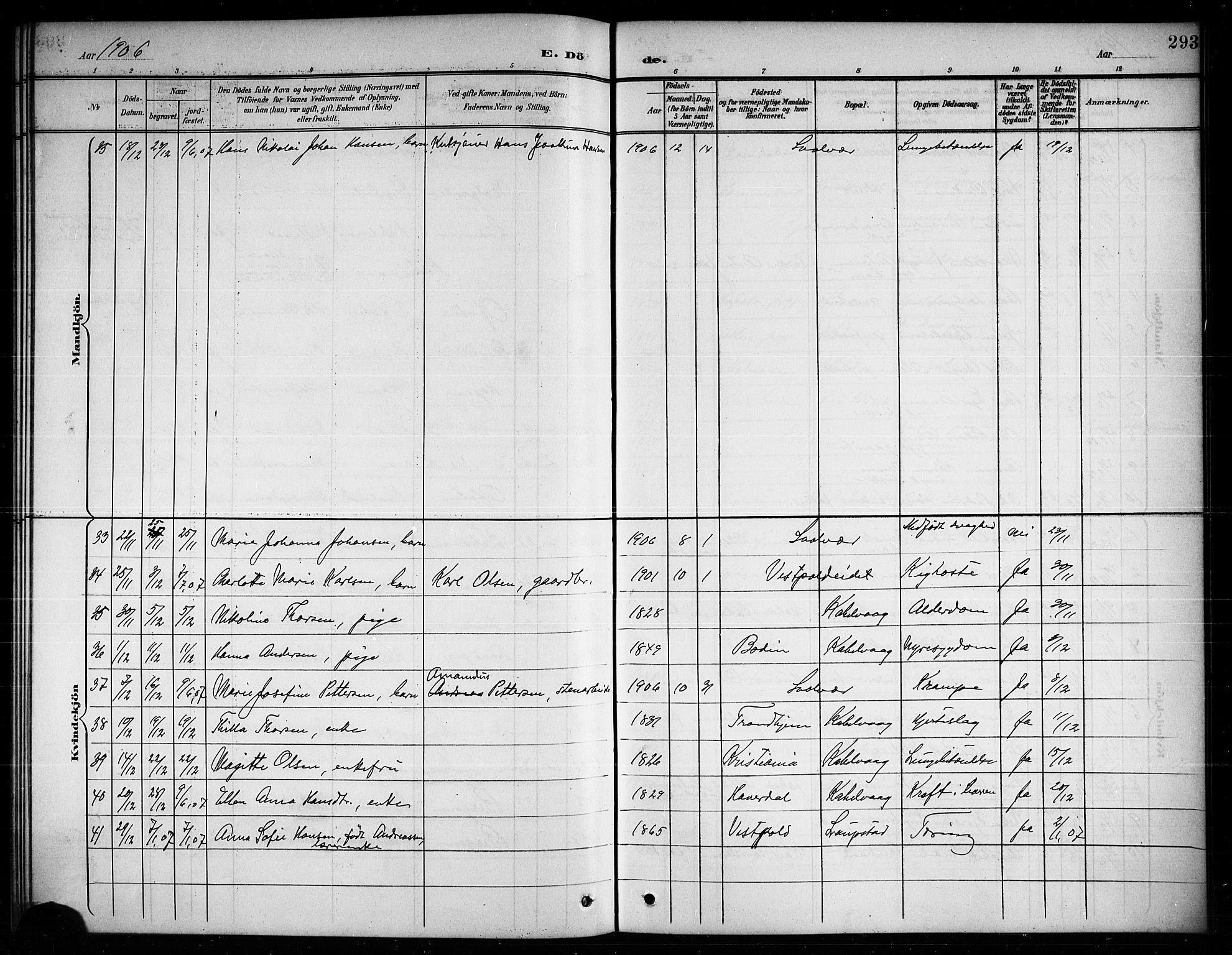 Ministerialprotokoller, klokkerbøker og fødselsregistre - Nordland, AV/SAT-A-1459/874/L1078: Parish register (copy) no. 874C07, 1900-1907, p. 293