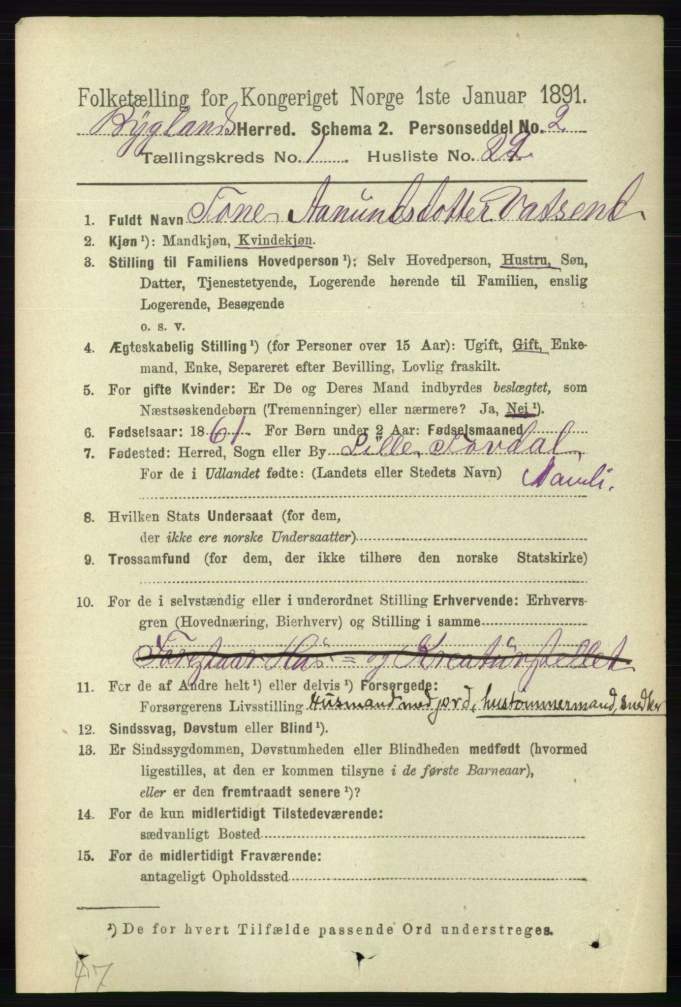 RA, 1891 census for 0938 Bygland, 1891, p. 206