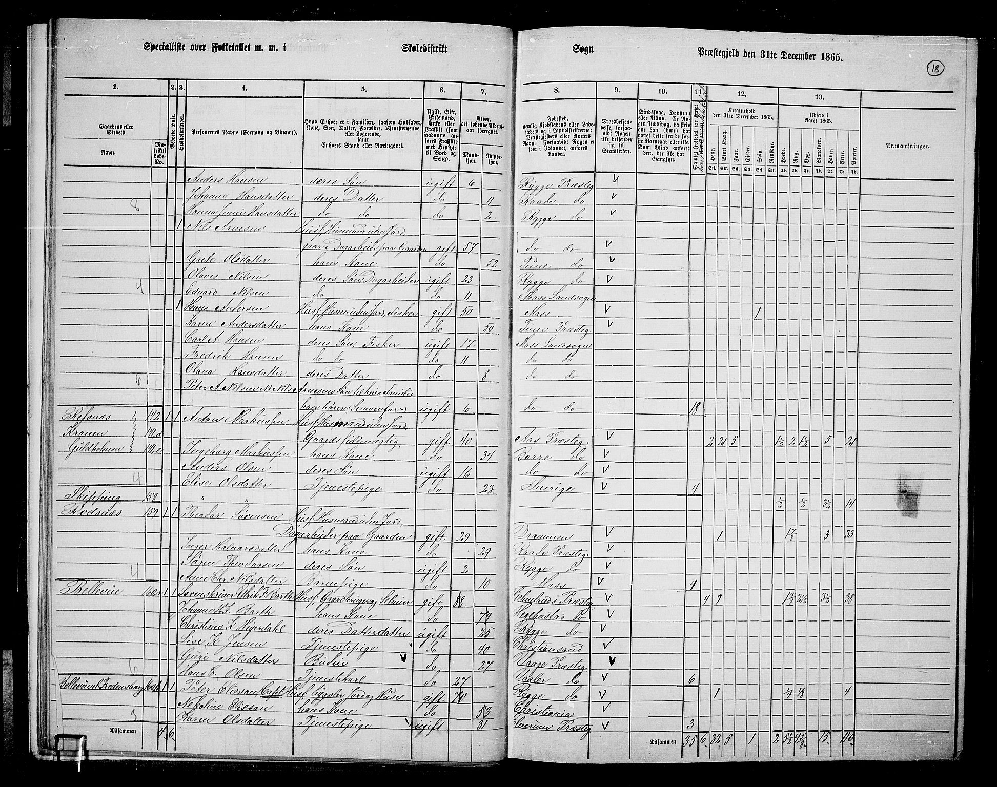 RA, 1865 census for Moss/Moss, 1865, p. 19