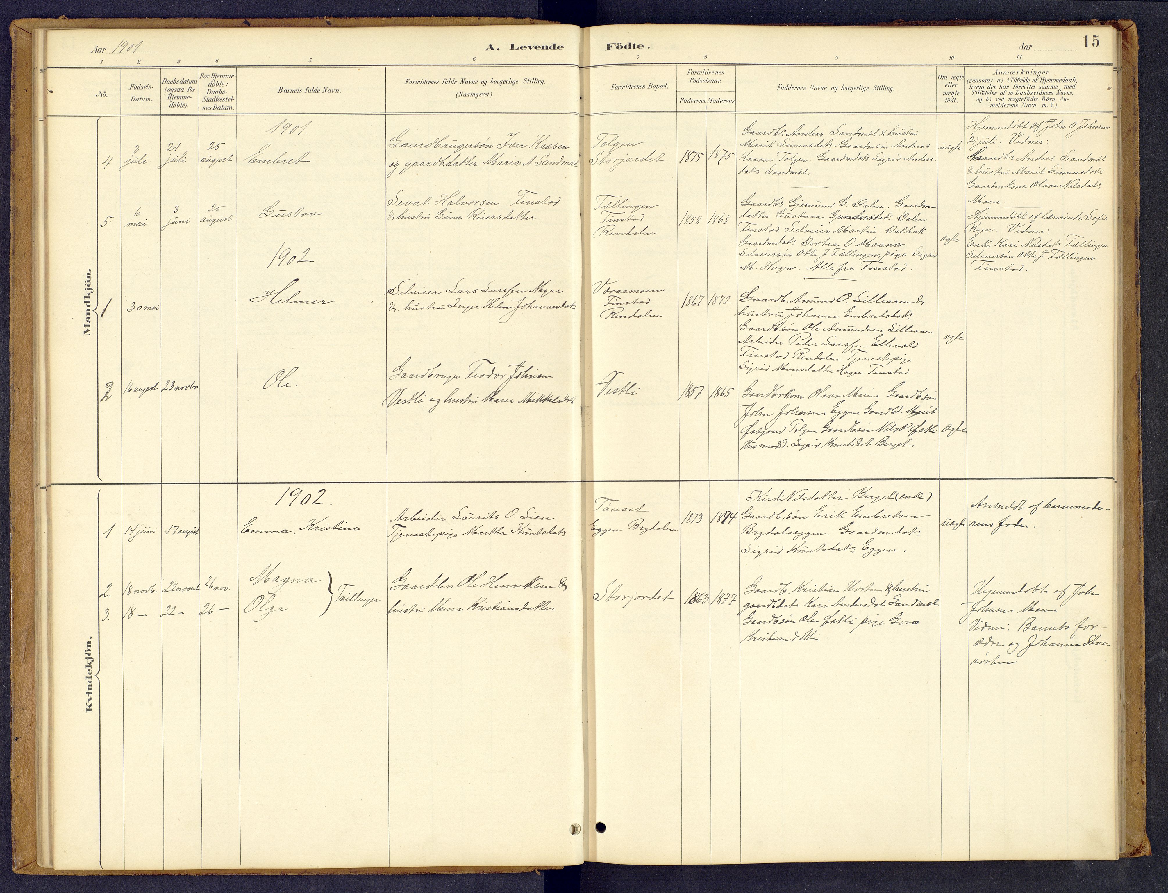 Tynset prestekontor, AV/SAH-PREST-058/H/Ha/Hab/L0008: Parish register (copy) no. 8, 1884-1916, p. 15