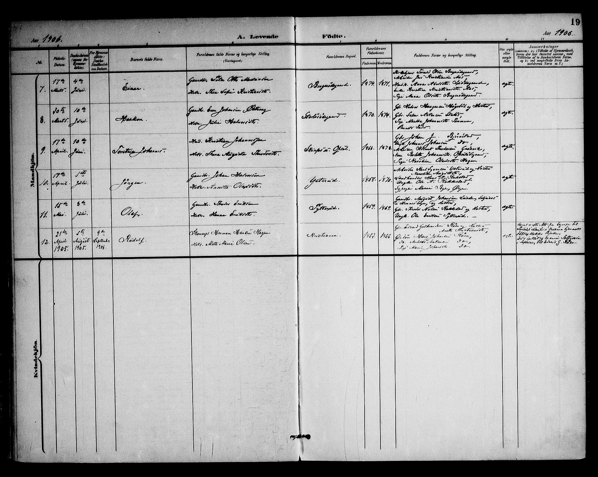 Rødenes prestekontor Kirkebøker, SAO/A-2005/F/Fa/L0011: Parish register (official) no. I 11, 1901-1910, p. 19