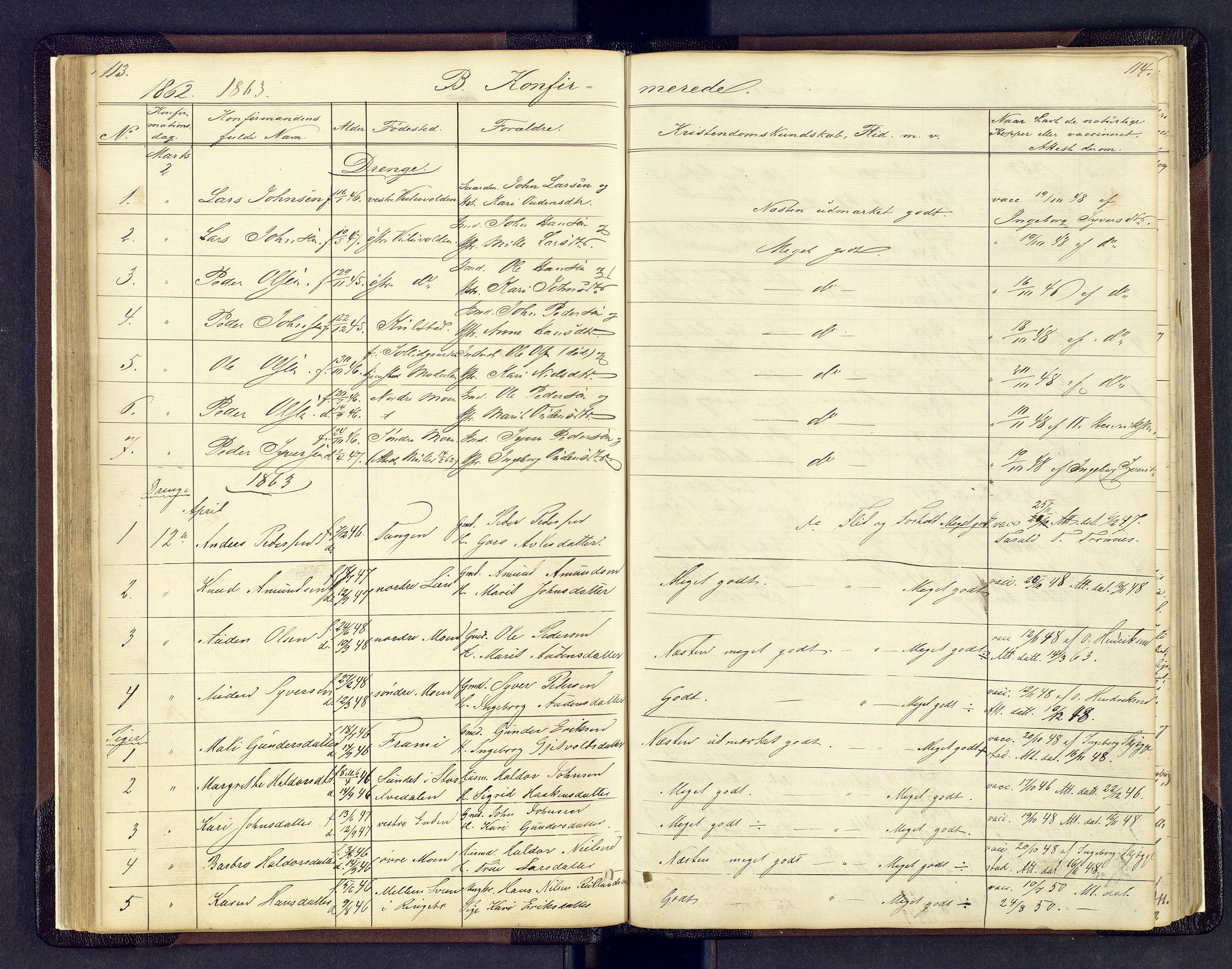 Sollia prestekontor, SAH/PREST-050/H/Ha/Hab/L0001: Parish register (copy) no. 1, 1862-1879, p. 113-114