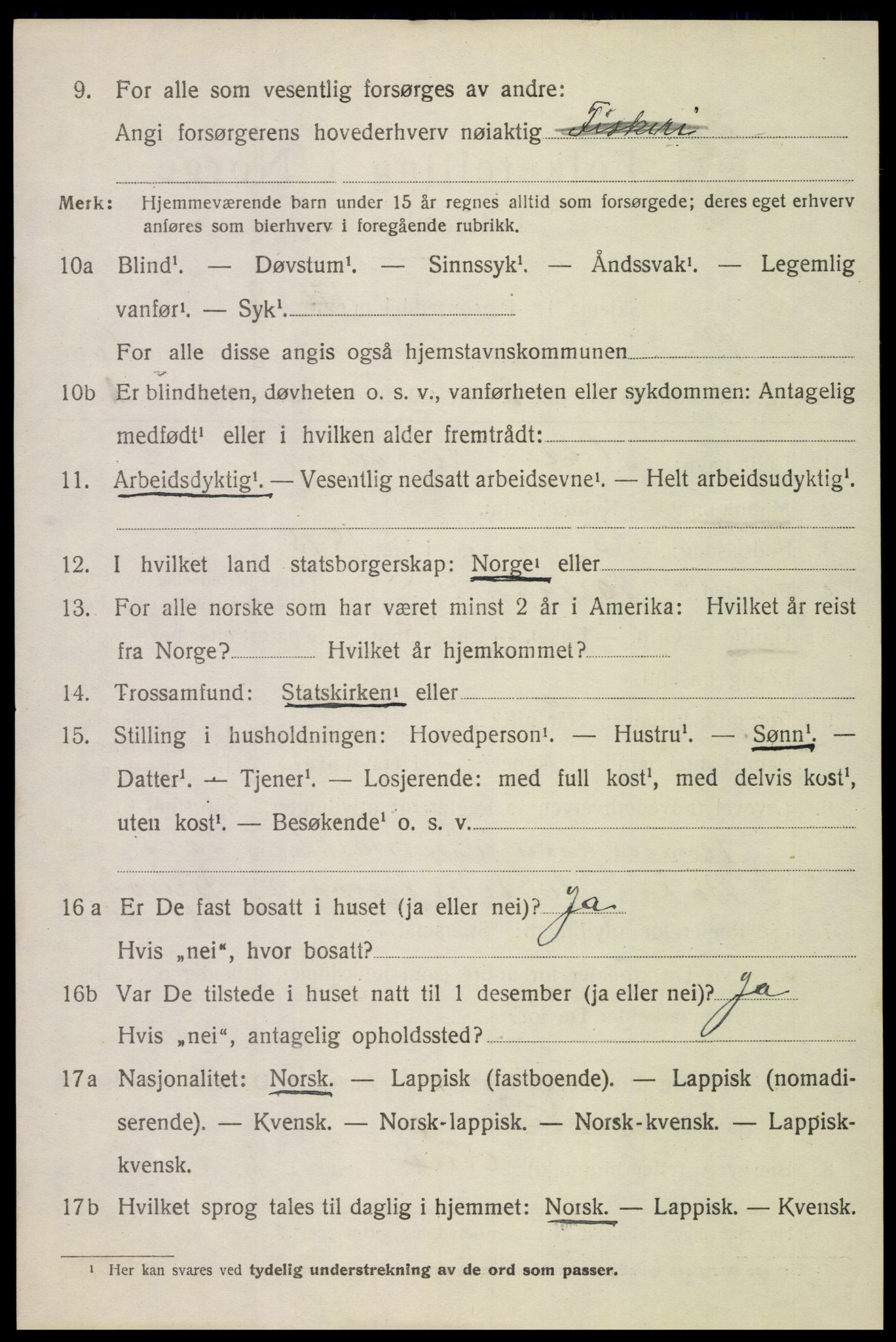 SAT, 1920 census for Bodin, 1920, p. 8453