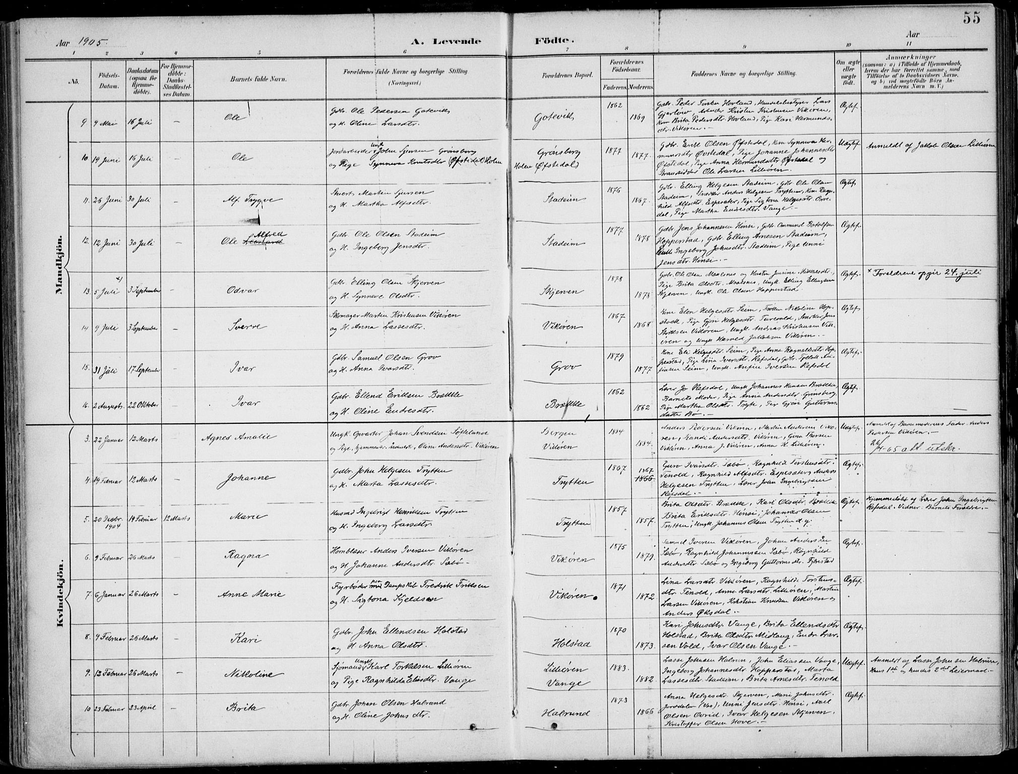 Vik sokneprestembete, AV/SAB-A-81501/H/Haa/Haab/L0002: Parish register (official) no. B  2, 1891-1907, p. 55