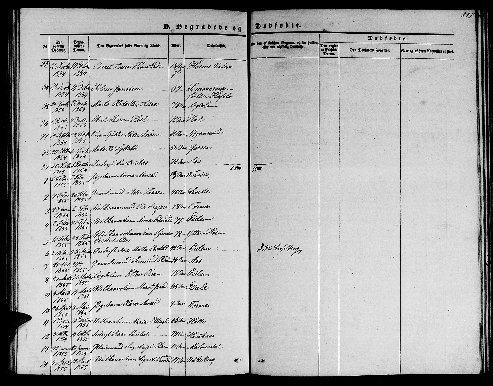 Ministerialprotokoller, klokkerbøker og fødselsregistre - Møre og Romsdal, SAT/A-1454/565/L0753: Parish register (copy) no. 565C02, 1845-1870, p. 247