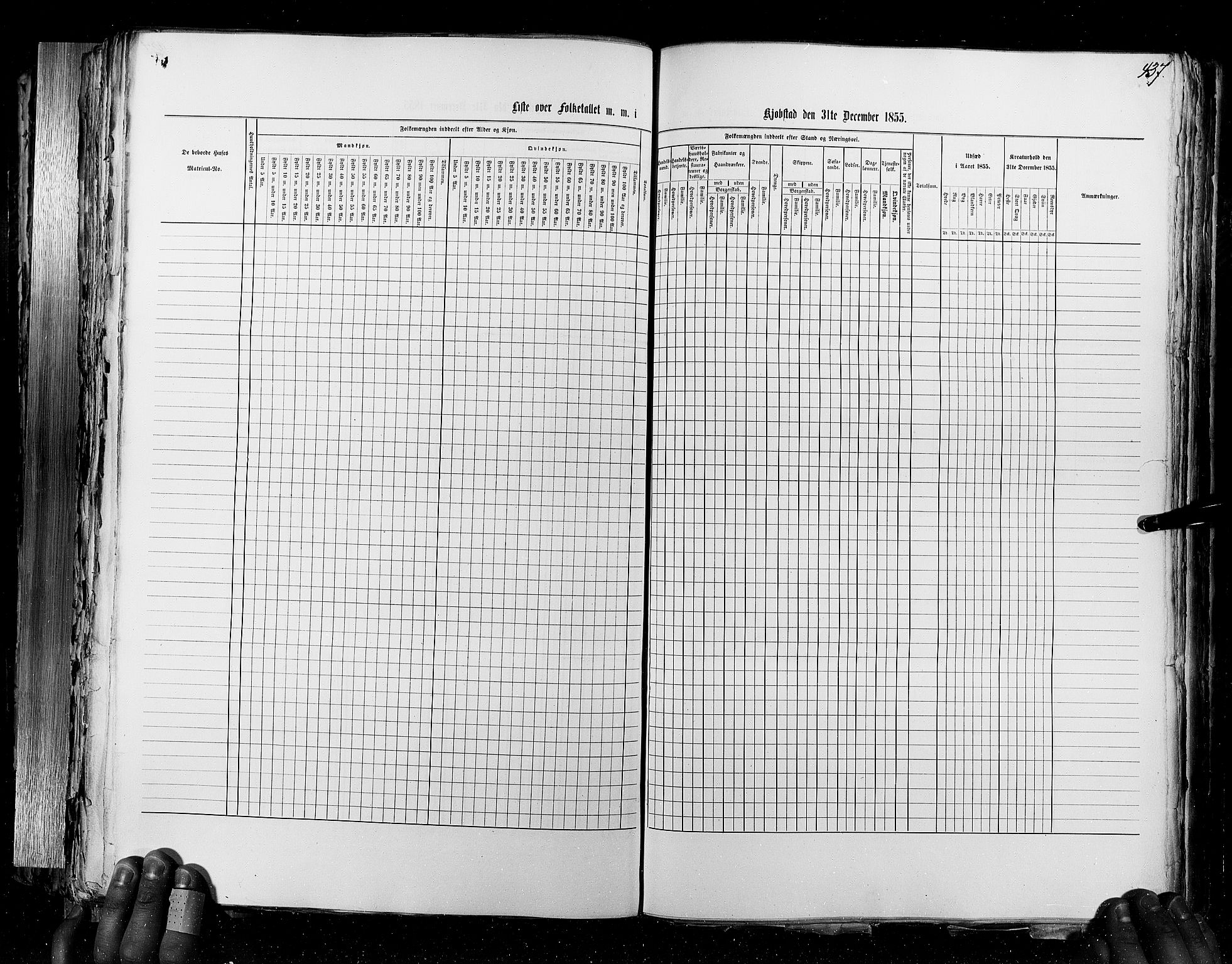 RA, Census 1855, vol. 7: Fredrikshald-Kragerø, 1855, p. 437