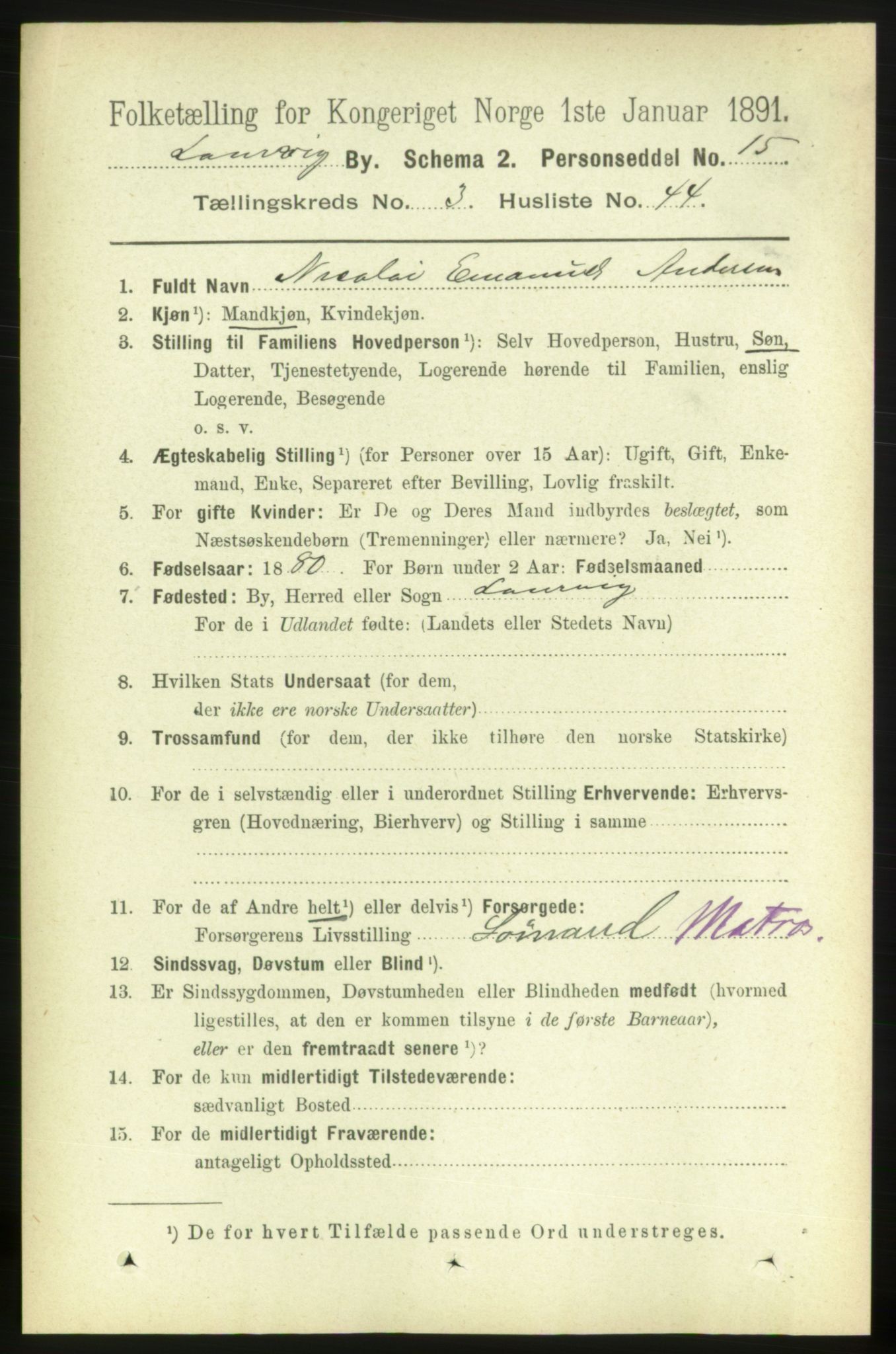RA, 1891 census for 0707 Larvik, 1891, p. 4627