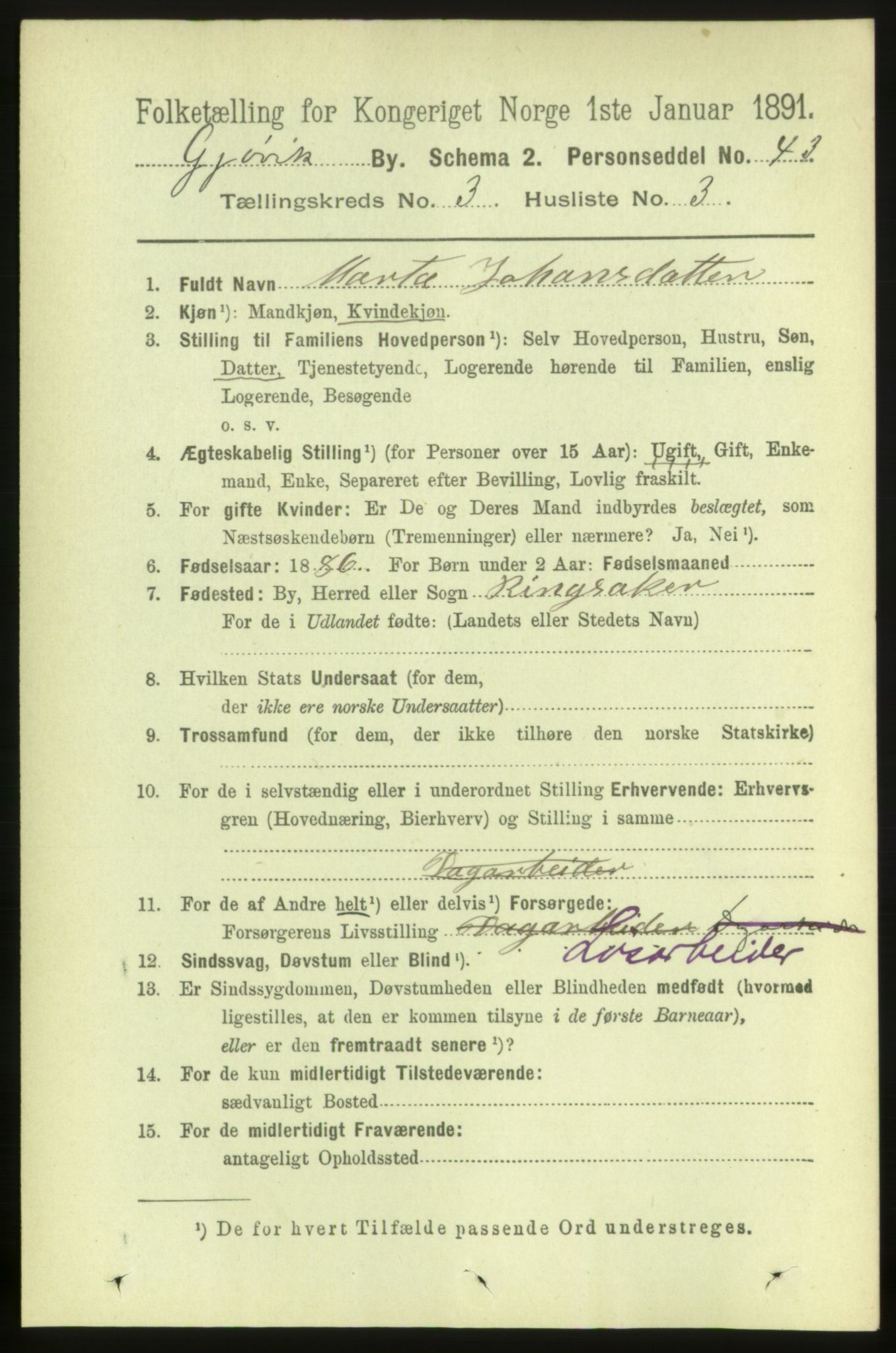 RA, 1891 census for 0502 Gjøvik, 1891, p. 1054