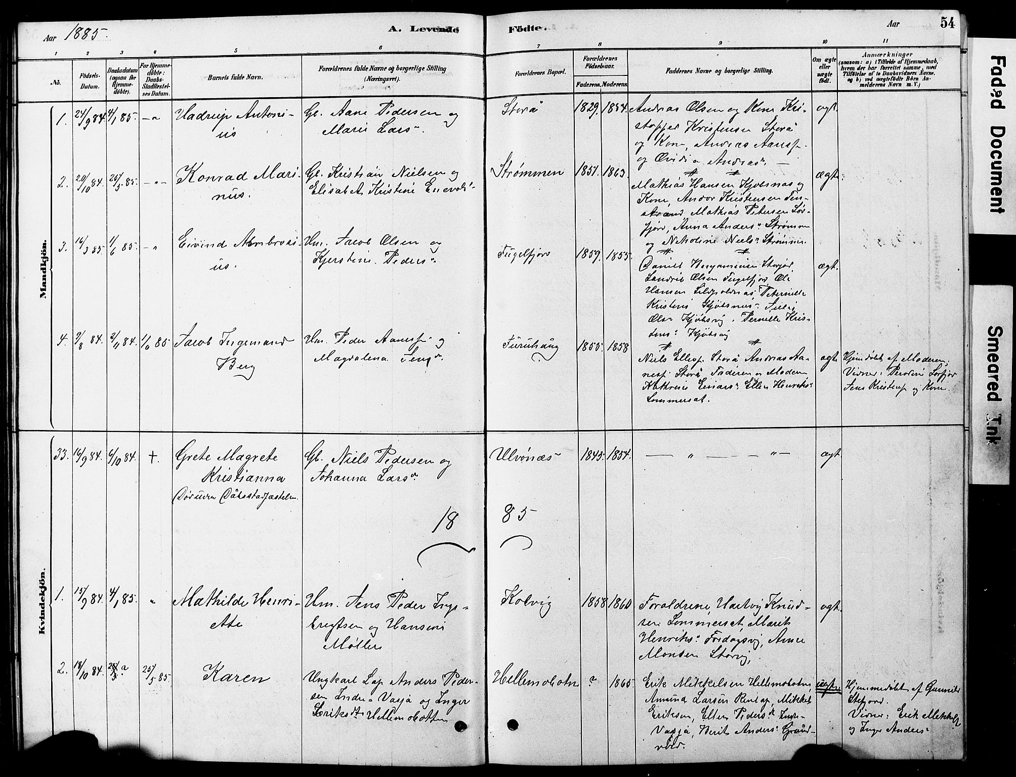 Ministerialprotokoller, klokkerbøker og fødselsregistre - Nordland, AV/SAT-A-1459/861/L0875: Parish register (copy) no. 861C01, 1879-1887, p. 54