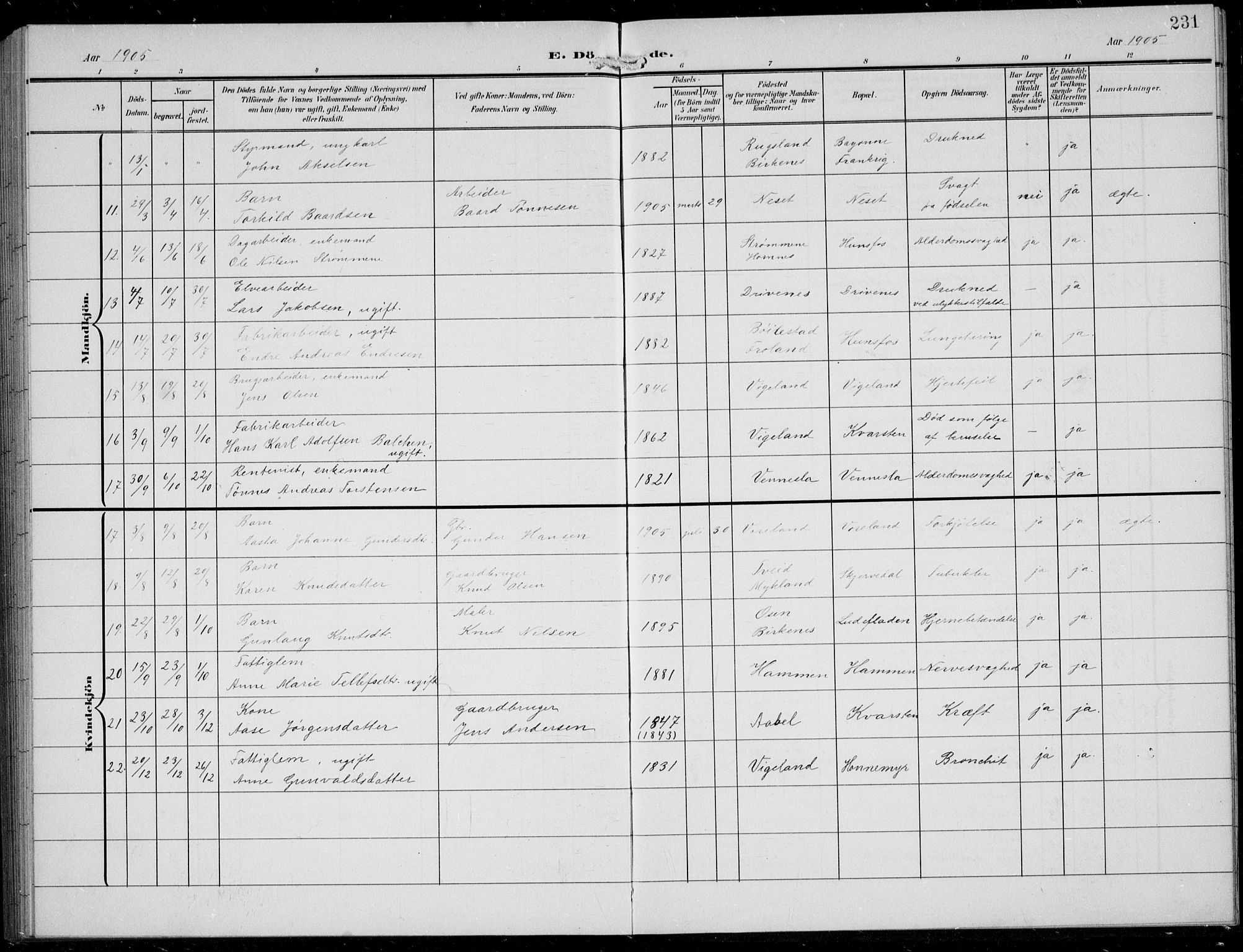 Vennesla sokneprestkontor, AV/SAK-1111-0045/Fb/Fbb/L0005: Parish register (copy) no. B 5, 1903-1913, p. 231