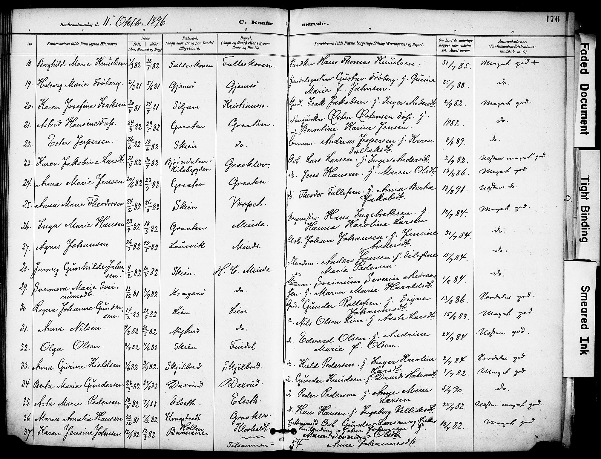 Solum kirkebøker, SAKO/A-306/F/Fa/L0010: Parish register (official) no. I 10, 1888-1898, p. 176