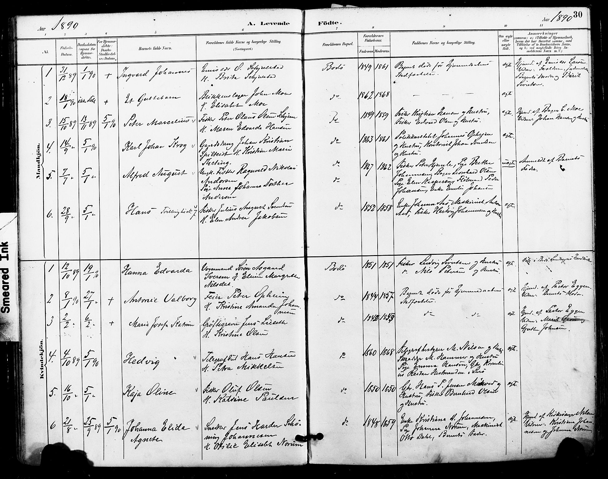 Ministerialprotokoller, klokkerbøker og fødselsregistre - Nordland, SAT/A-1459/801/L0010: Parish register (official) no. 801A10, 1888-1899, p. 30
