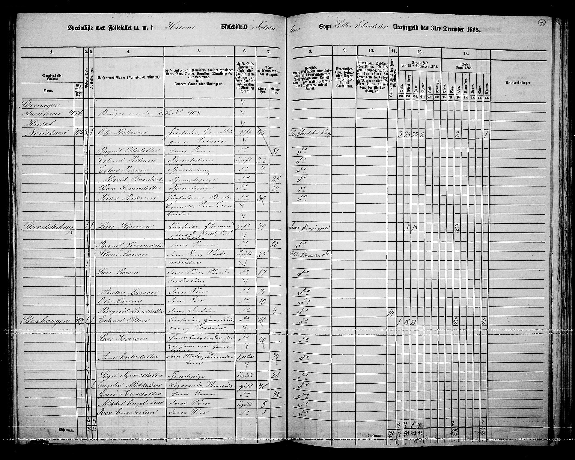 RA, 1865 census for Lille Elvedalen, 1865, p. 120