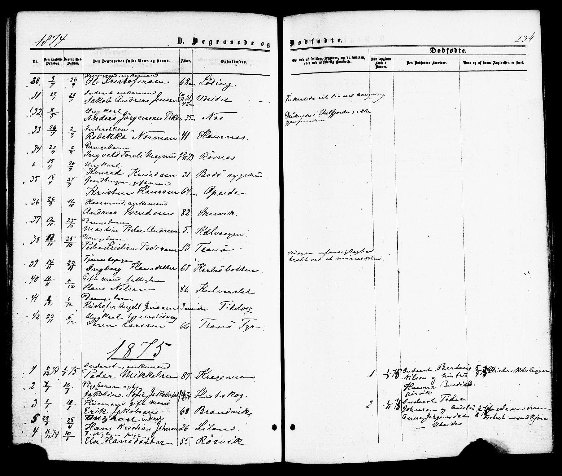 Ministerialprotokoller, klokkerbøker og fødselsregistre - Nordland, AV/SAT-A-1459/859/L0845: Parish register (official) no. 859A05, 1863-1877, p. 234