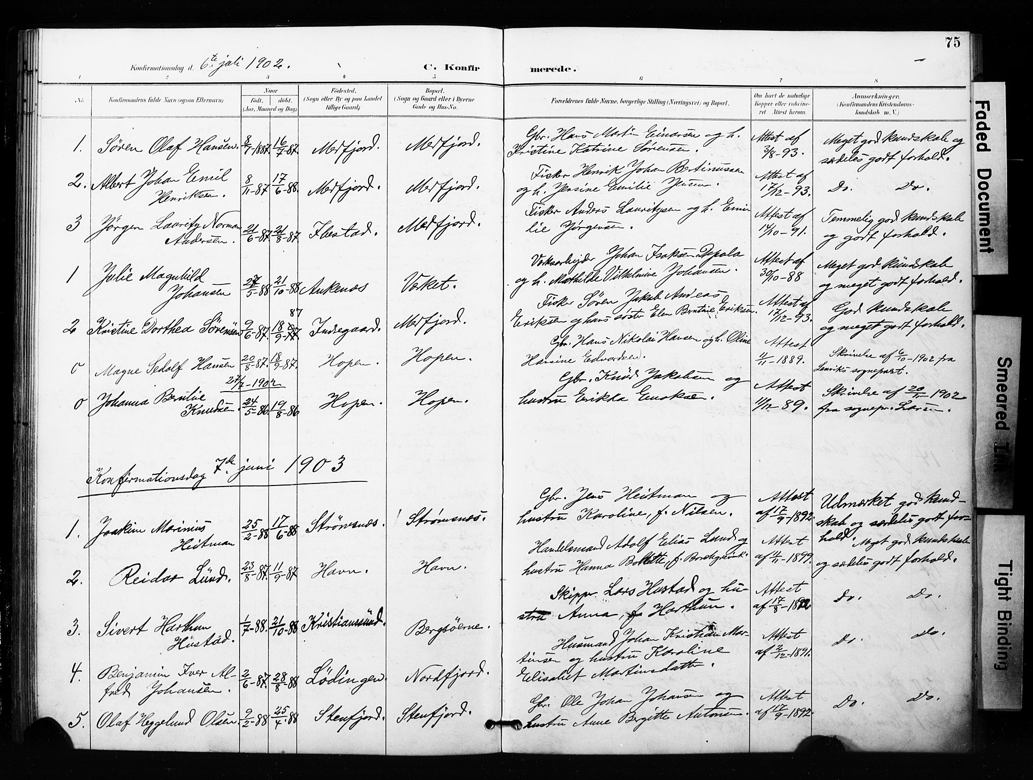 Berg sokneprestkontor, SATØ/S-1318/G/Ga/Gaa/L0005kirke: Parish register (official) no. 5, 1894-1905, p. 75