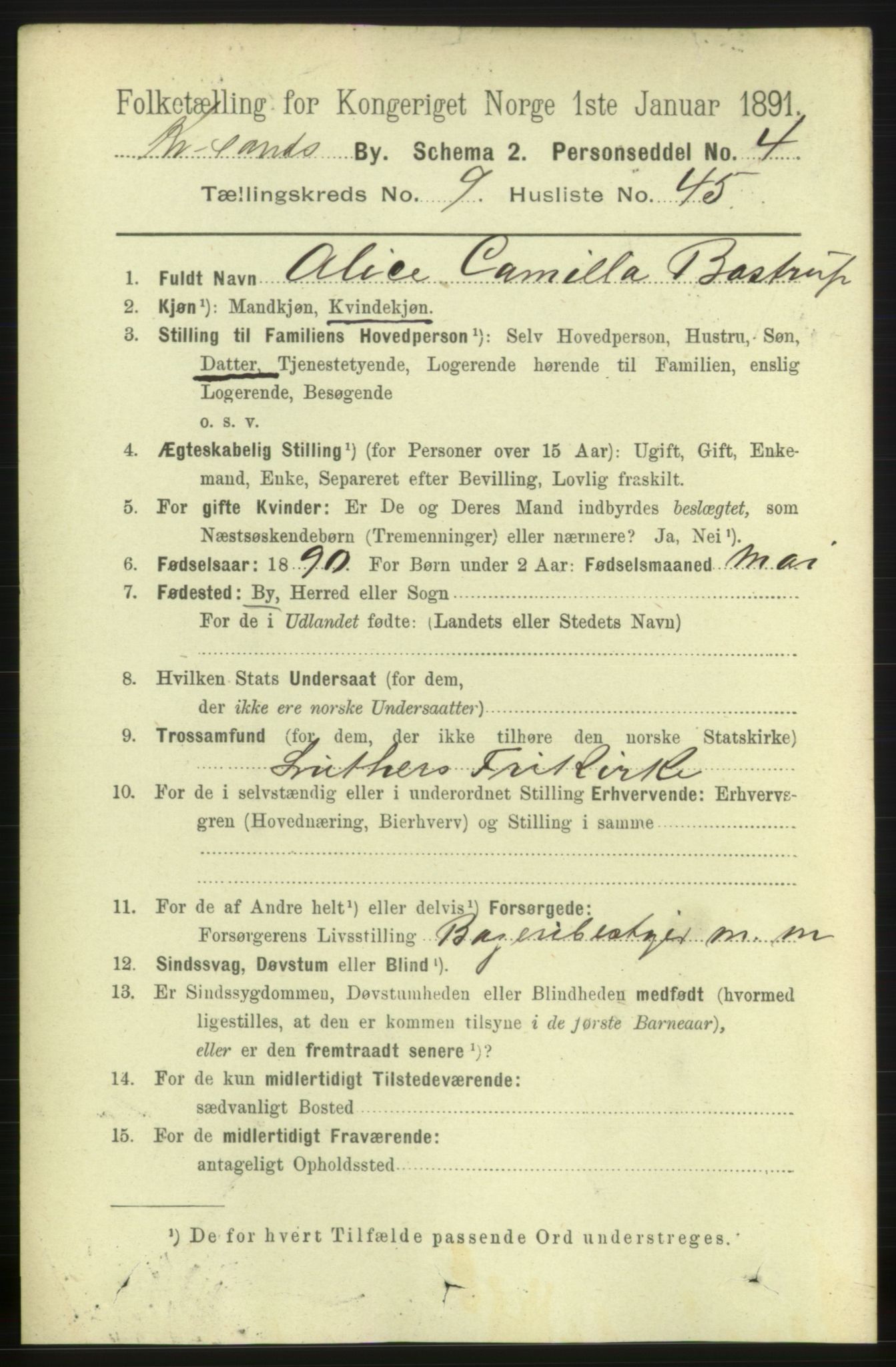 RA, 1891 census for 1001 Kristiansand, 1891, p. 5394