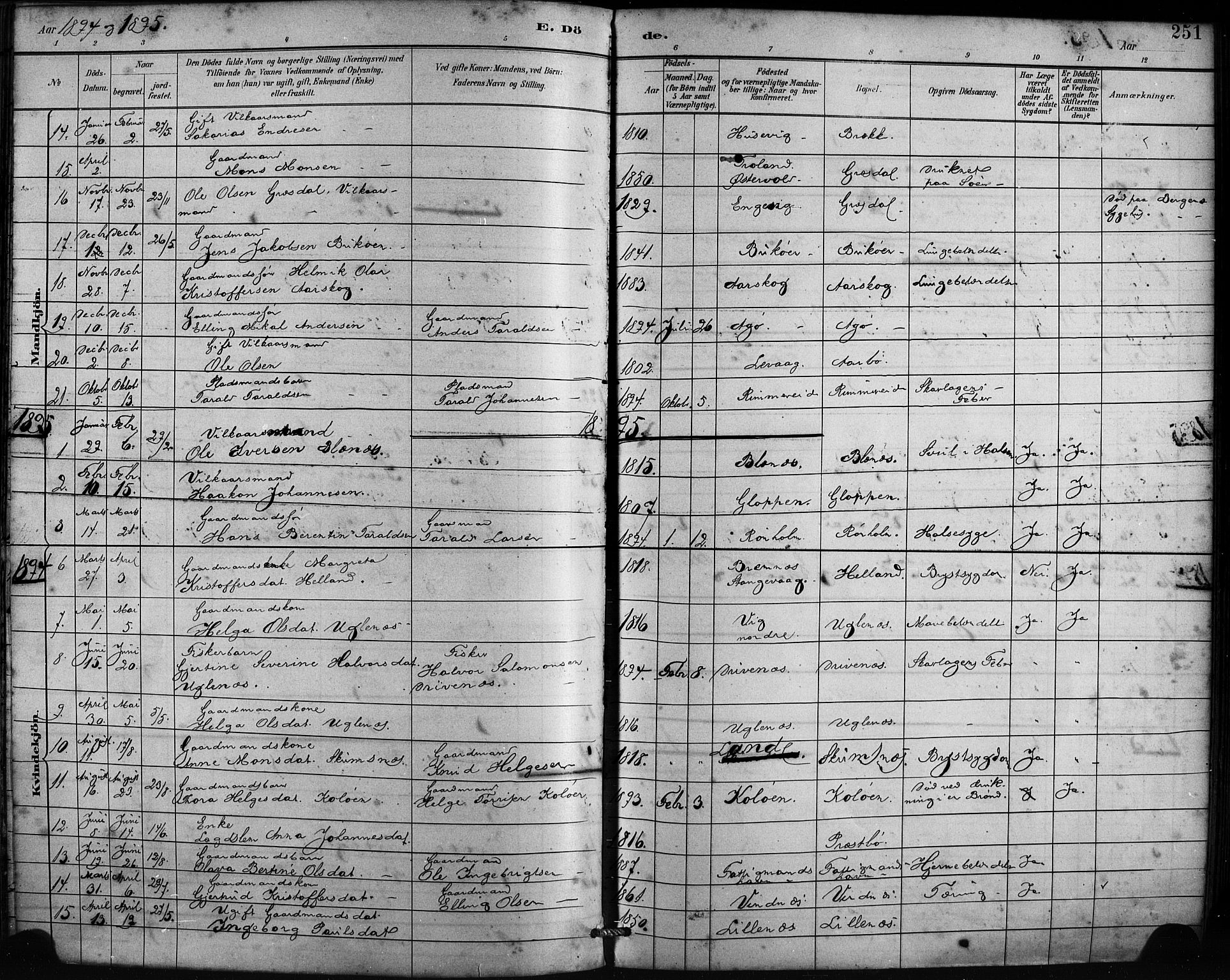 Fitjar sokneprestembete, AV/SAB-A-99926: Parish register (official) no. A 2, 1882-1899, p. 251