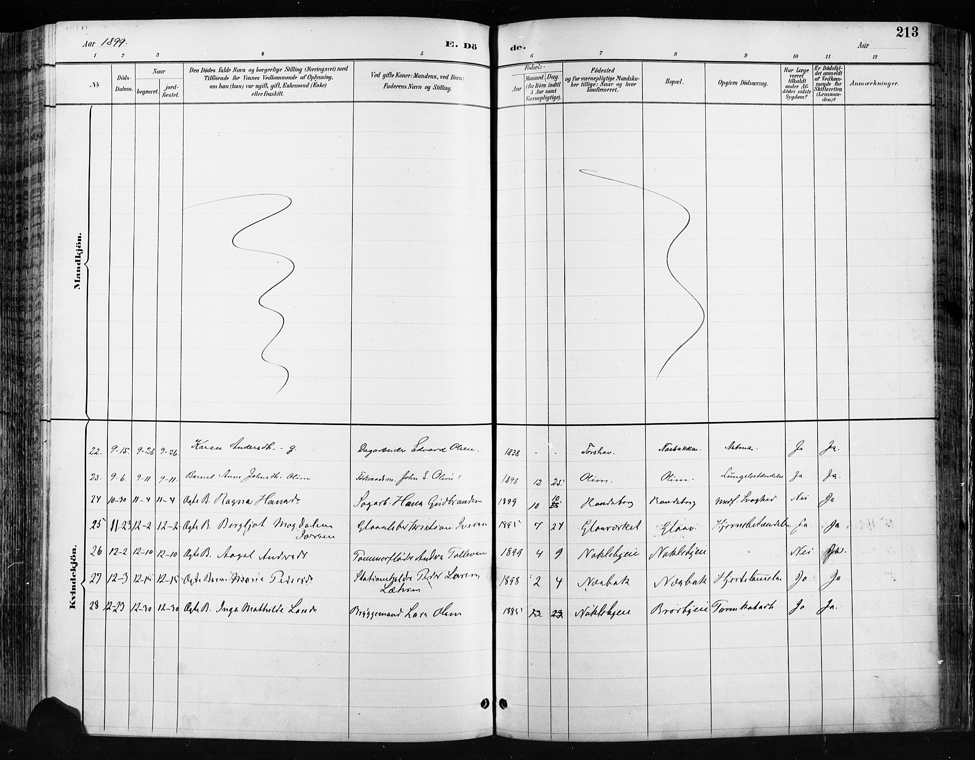 Jevnaker prestekontor, SAH/PREST-116/H/Ha/Haa/L0009: Parish register (official) no. 9, 1891-1901, p. 213
