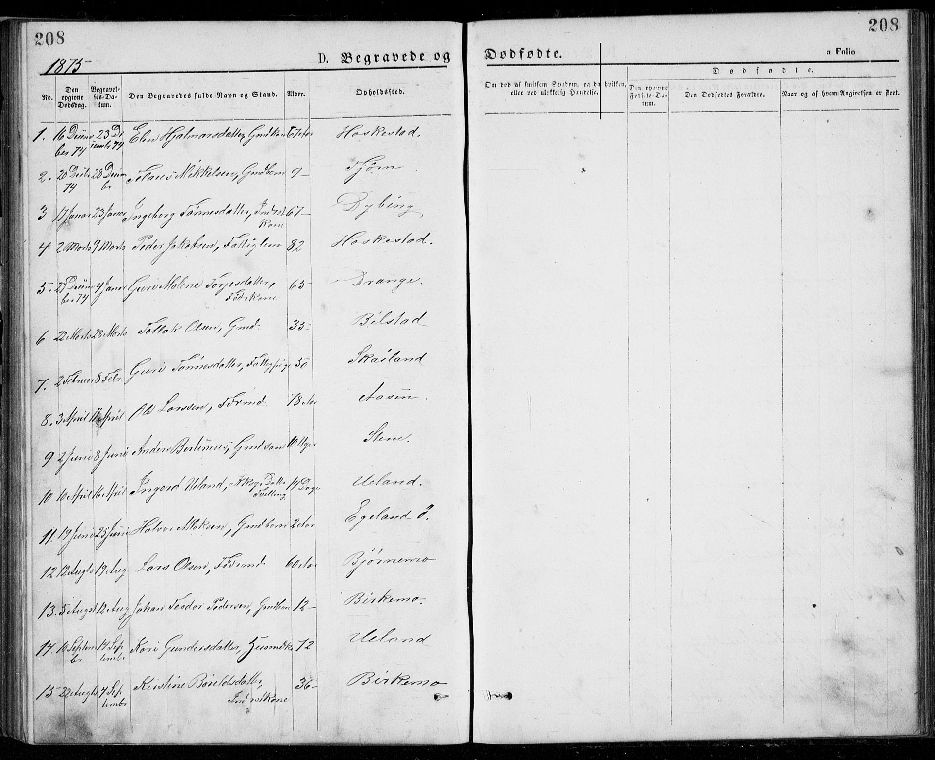 Lund sokneprestkontor, SAST/A-101809/S07/L0005: Parish register (copy) no. B 5, 1875-1889, p. 208