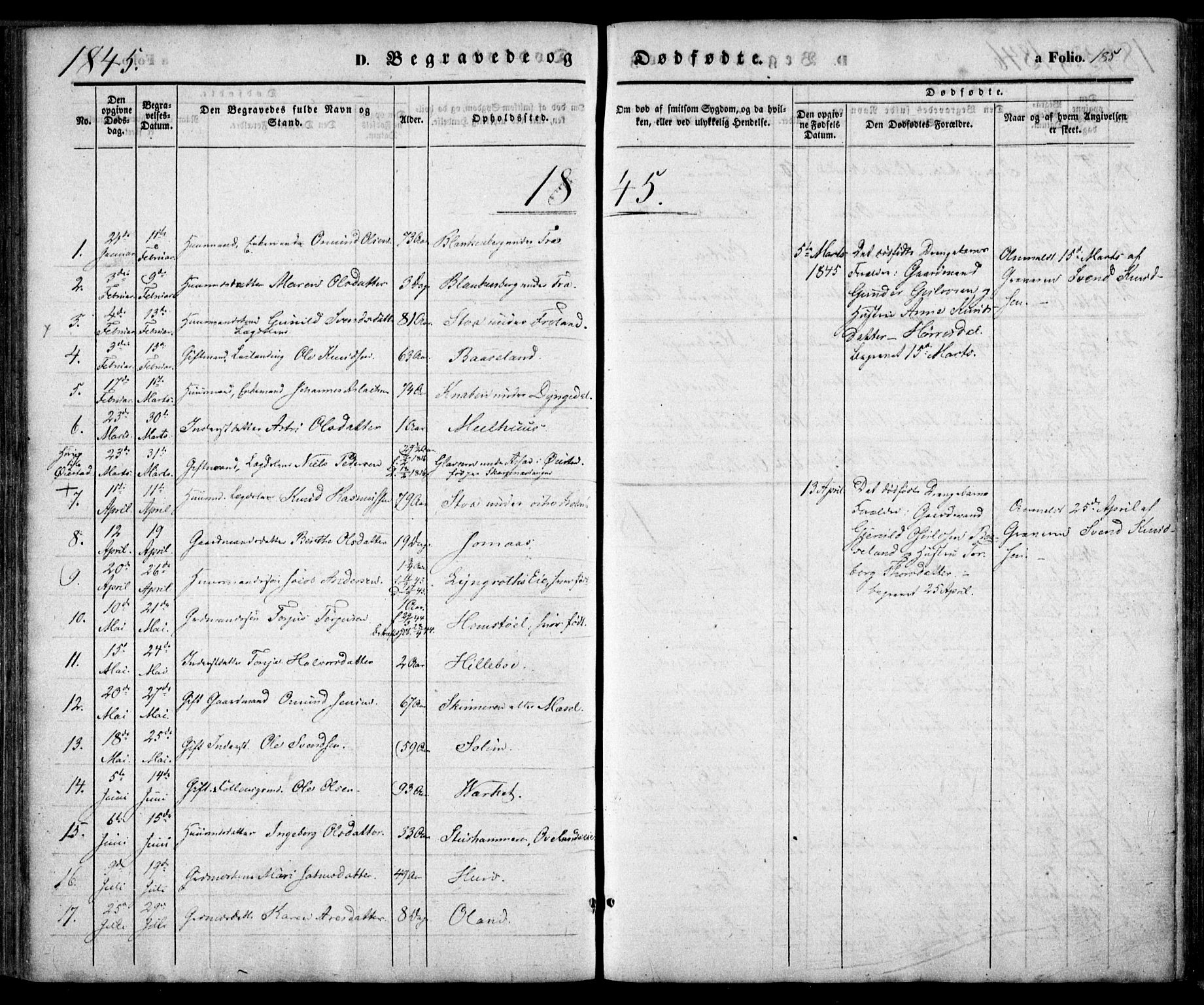 Froland sokneprestkontor, AV/SAK-1111-0013/F/Fa/L0002: Parish register (official) no. A 2, 1845-1863, p. 185