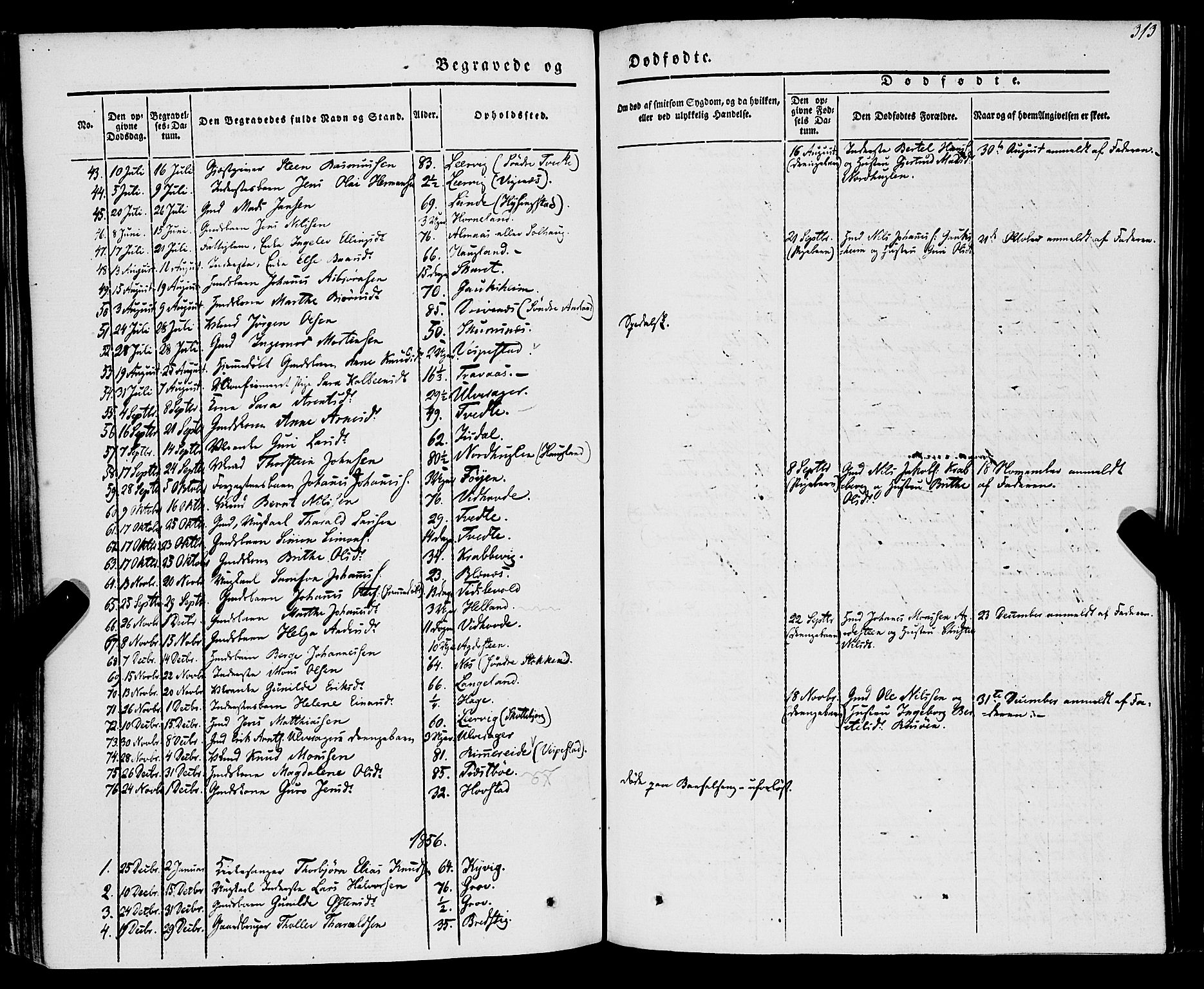 Stord sokneprestembete, SAB/A-78201/H/Haa: Parish register (official) no. A 7, 1841-1861, p. 313