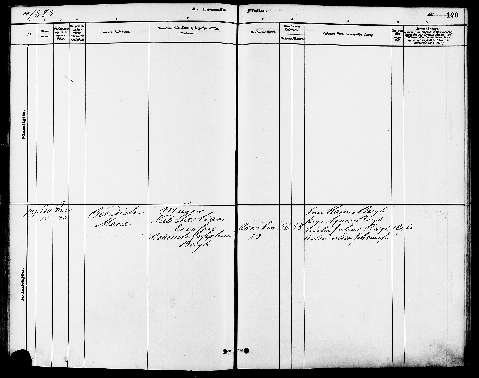 Gamle Aker prestekontor Kirkebøker, SAO/A-10617a/F/L0006: Parish register (official) no. 6, 1880-1887, p. 120