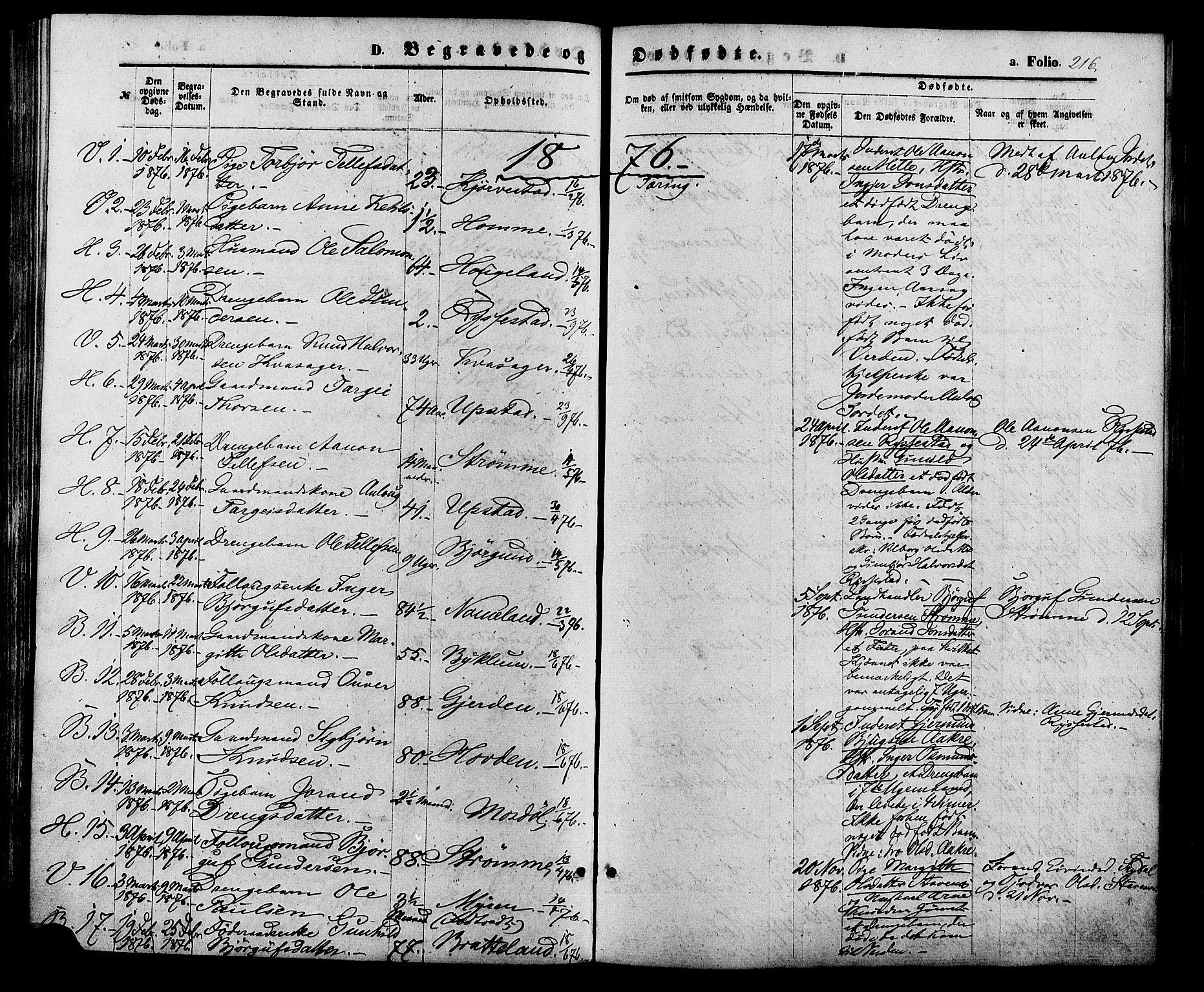 Valle sokneprestkontor, AV/SAK-1111-0044/F/Fa/Fac/L0008: Parish register (official) no. A 8, 1868-1882, p. 216