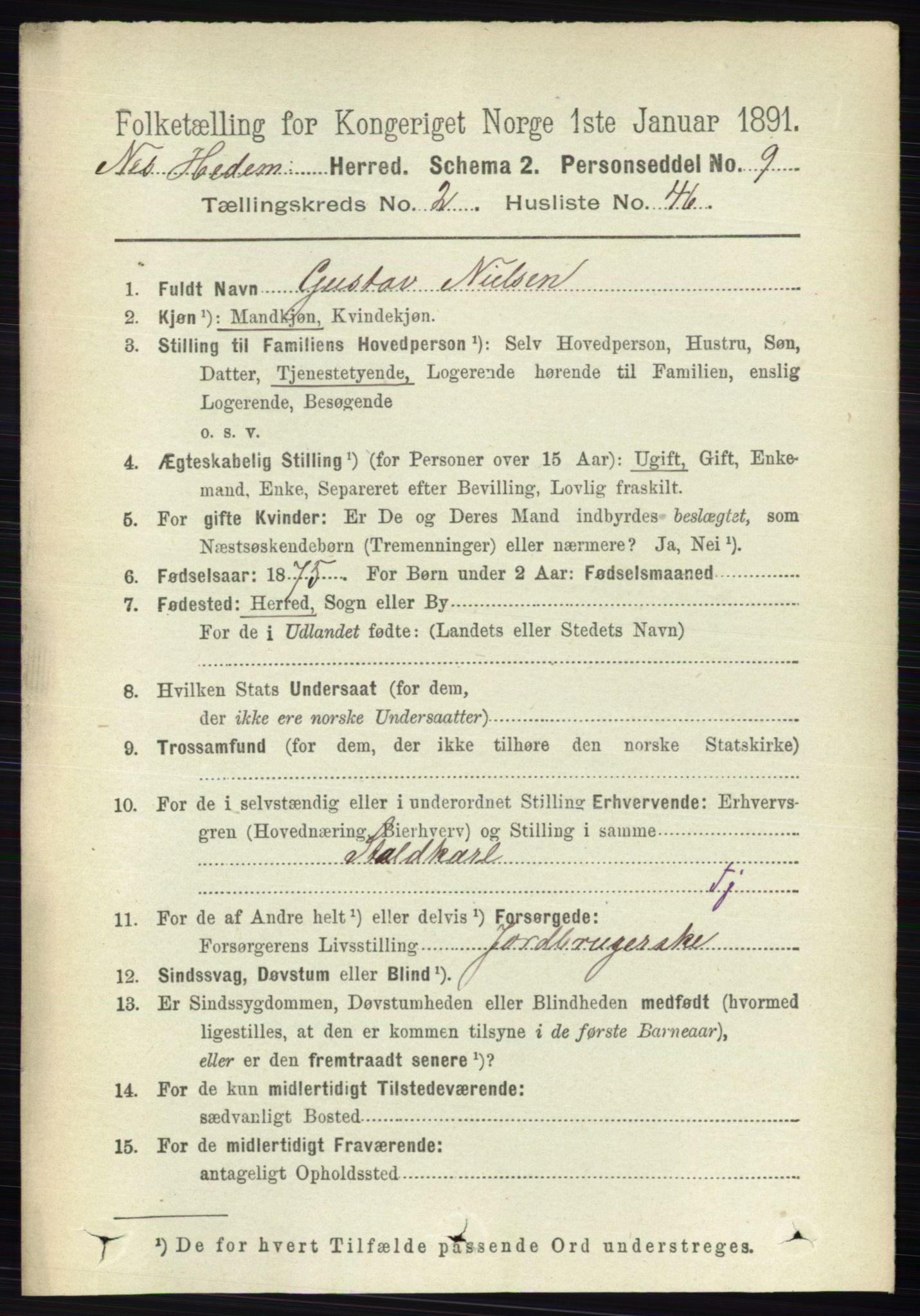 RA, 1891 census for 0411 Nes, 1891, p. 1409
