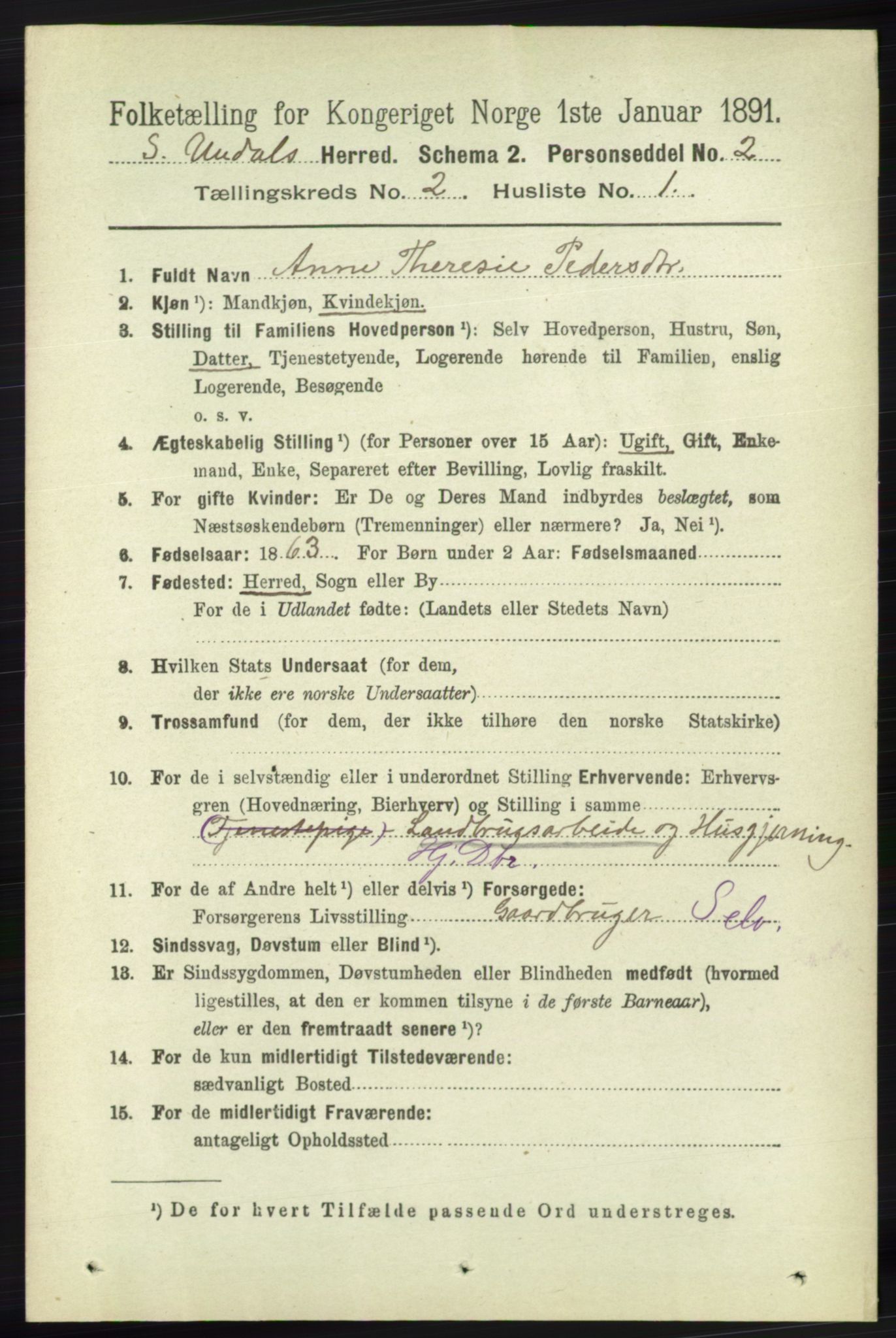 RA, 1891 census for 1029 Sør-Audnedal, 1891, p. 408