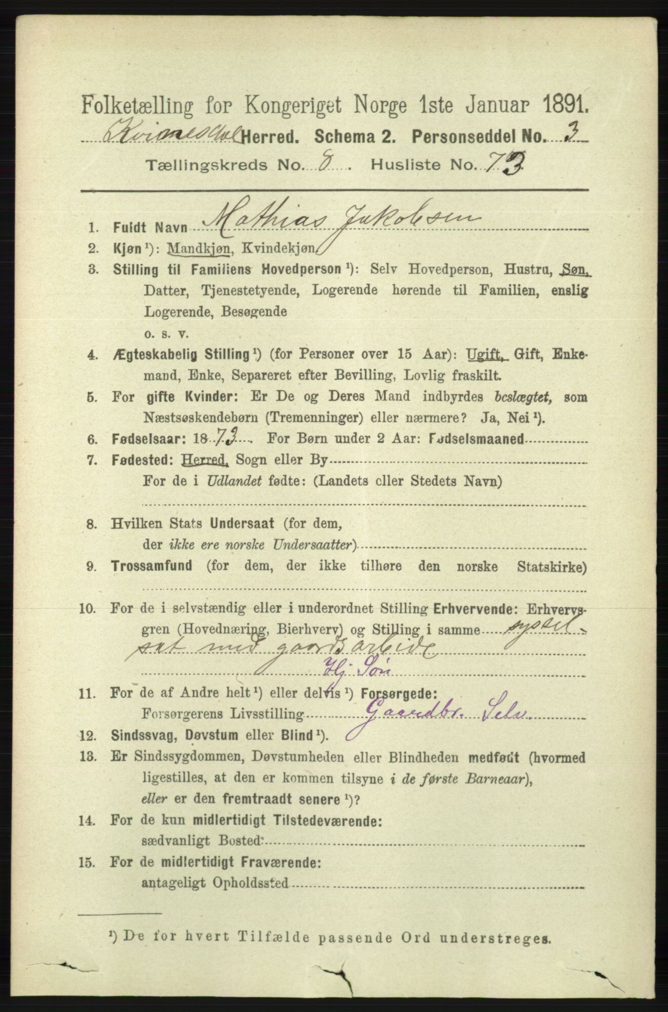 RA, 1891 census for 1037 Kvinesdal, 1891, p. 3202