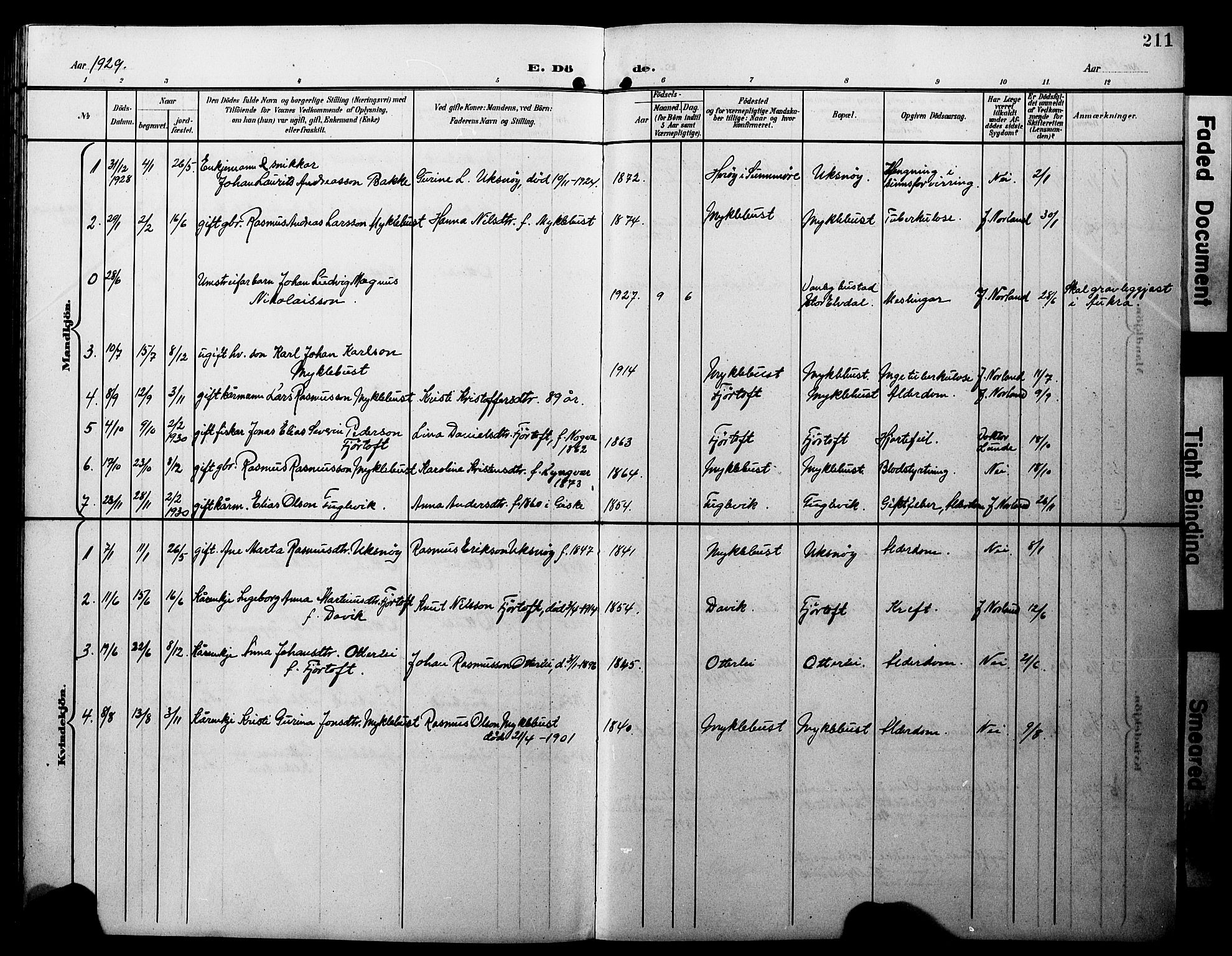 Ministerialprotokoller, klokkerbøker og fødselsregistre - Møre og Romsdal, AV/SAT-A-1454/538/L0524: Parish register (copy) no. 538C02, 1901-1931, p. 211