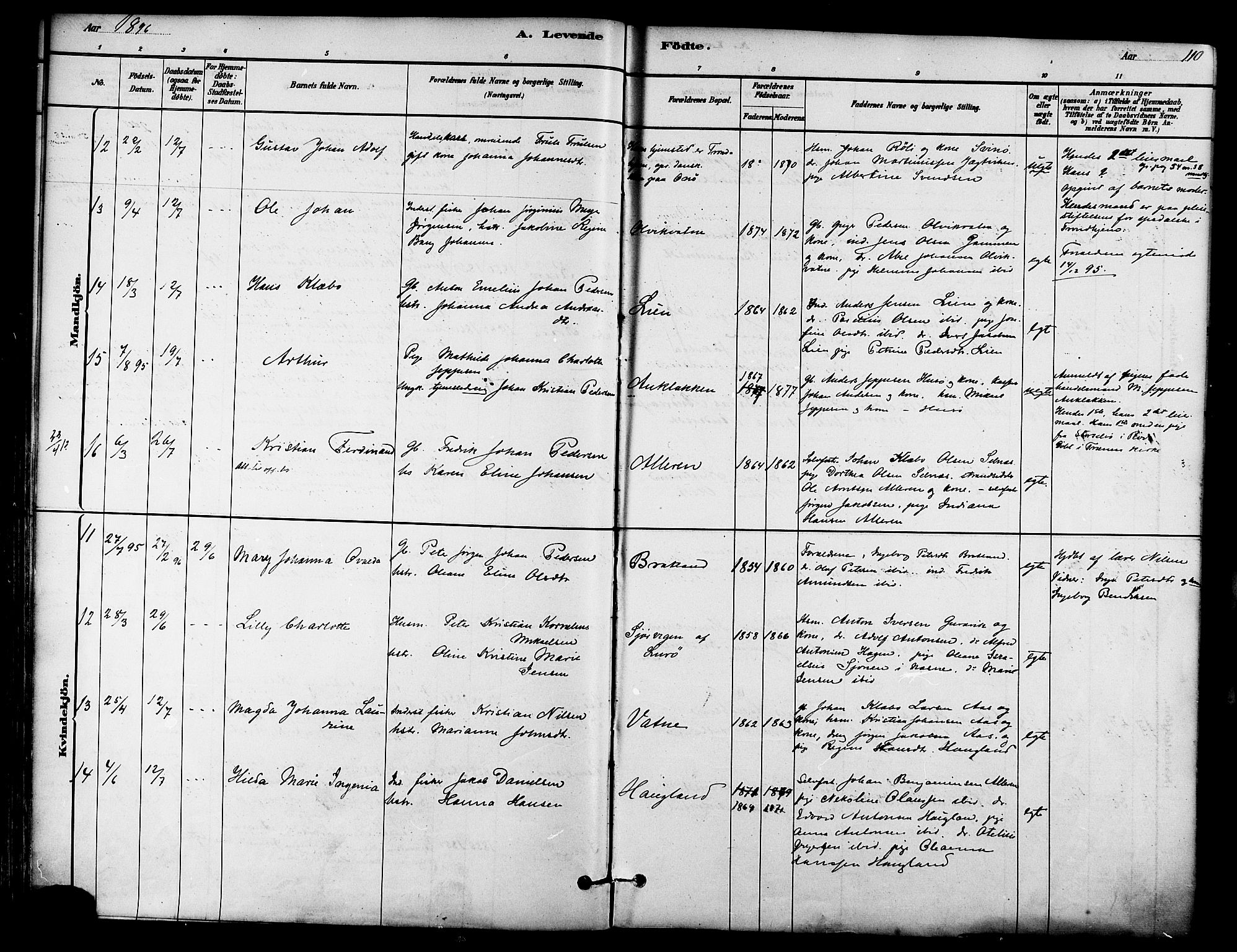 Ministerialprotokoller, klokkerbøker og fødselsregistre - Nordland, AV/SAT-A-1459/839/L0568: Parish register (official) no. 839A05, 1880-1902, p. 110