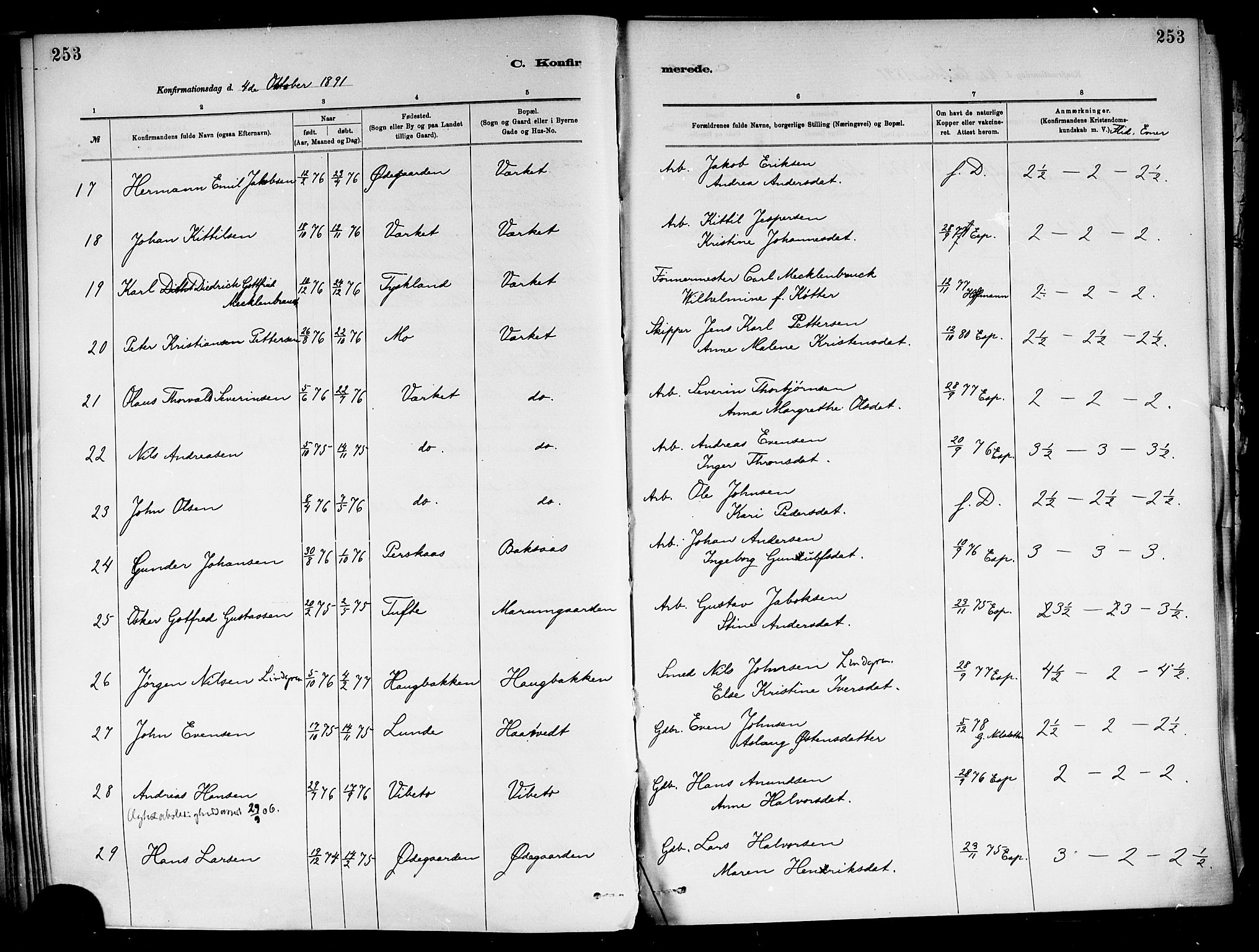 Holla kirkebøker, SAKO/A-272/F/Fa/L0008: Parish register (official) no. 8, 1882-1897, p. 253