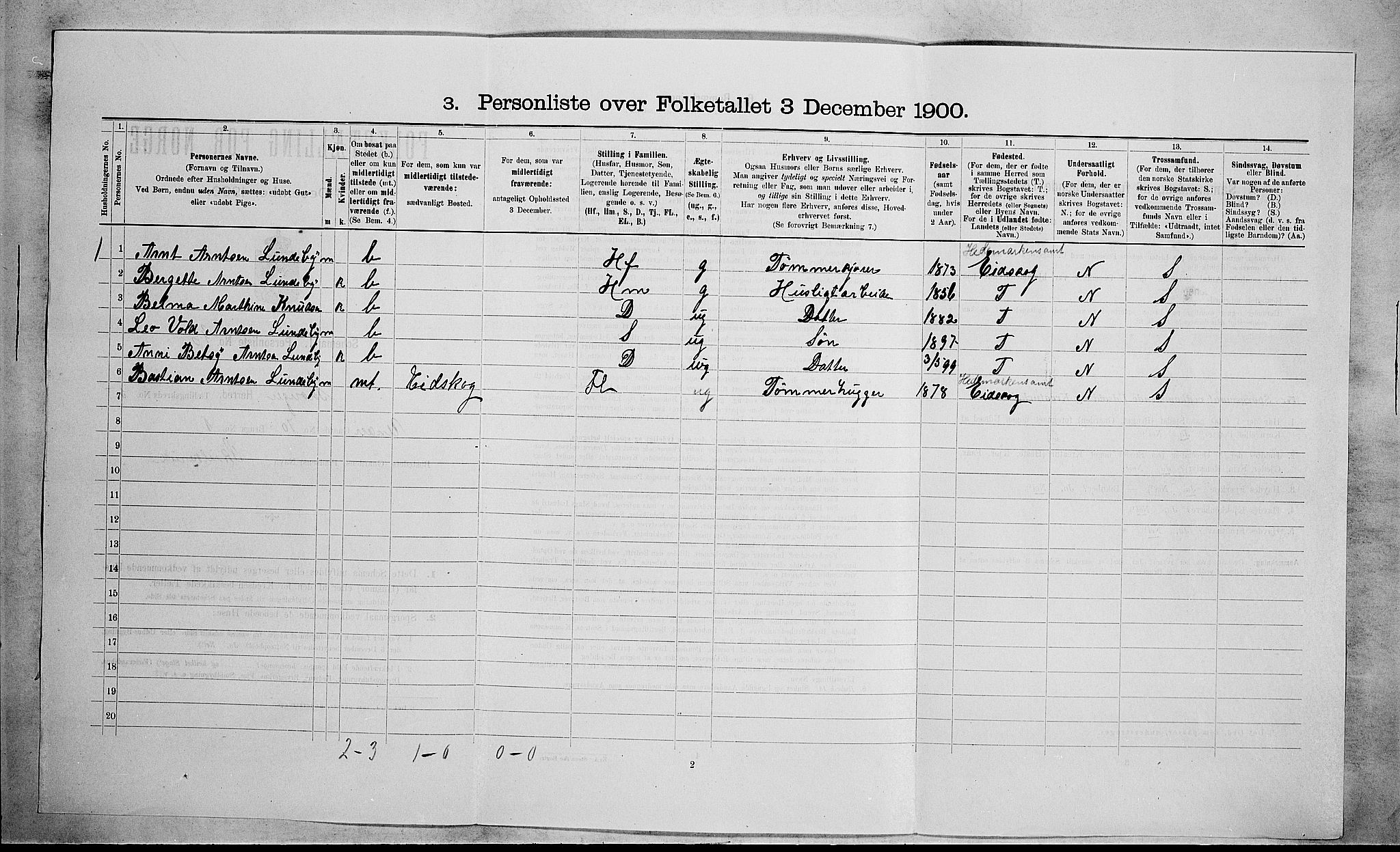 RA, 1900 census for Skoger, 1900, p. 985