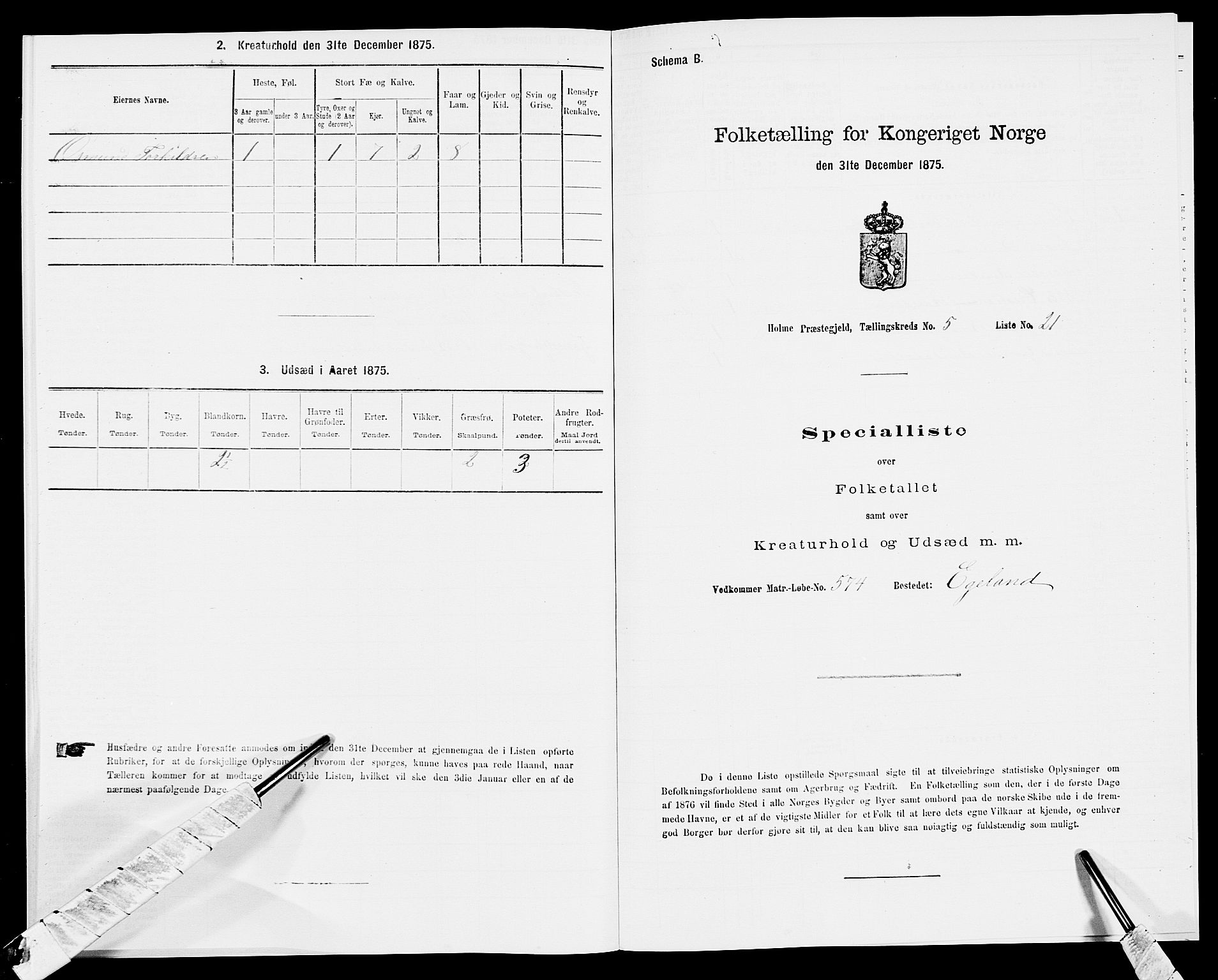 SAK, 1875 census for 1020P Holum, 1875, p. 565