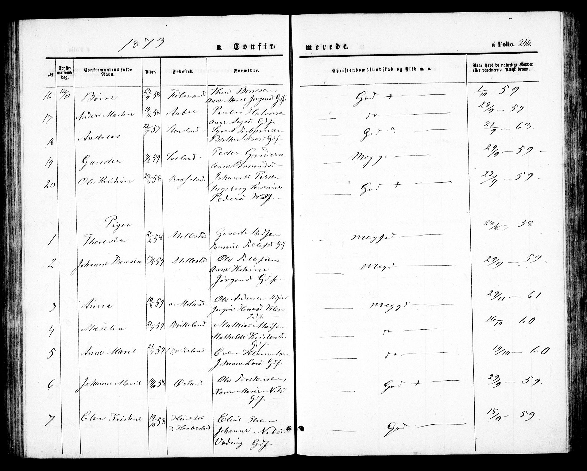 Birkenes sokneprestkontor, AV/SAK-1111-0004/F/Fb/L0002: Parish register (copy) no. B 2, 1849-1876, p. 246