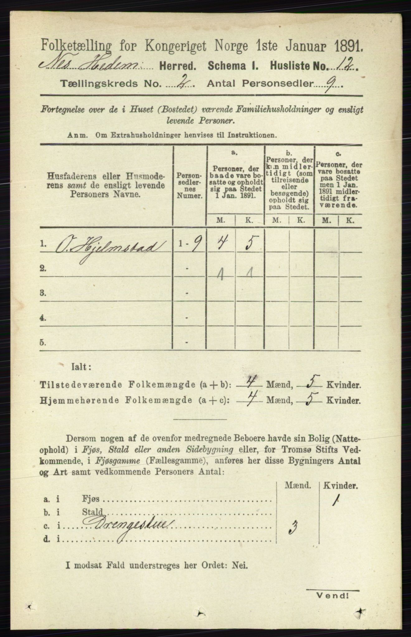 RA, 1891 census for 0411 Nes, 1891, p. 1015