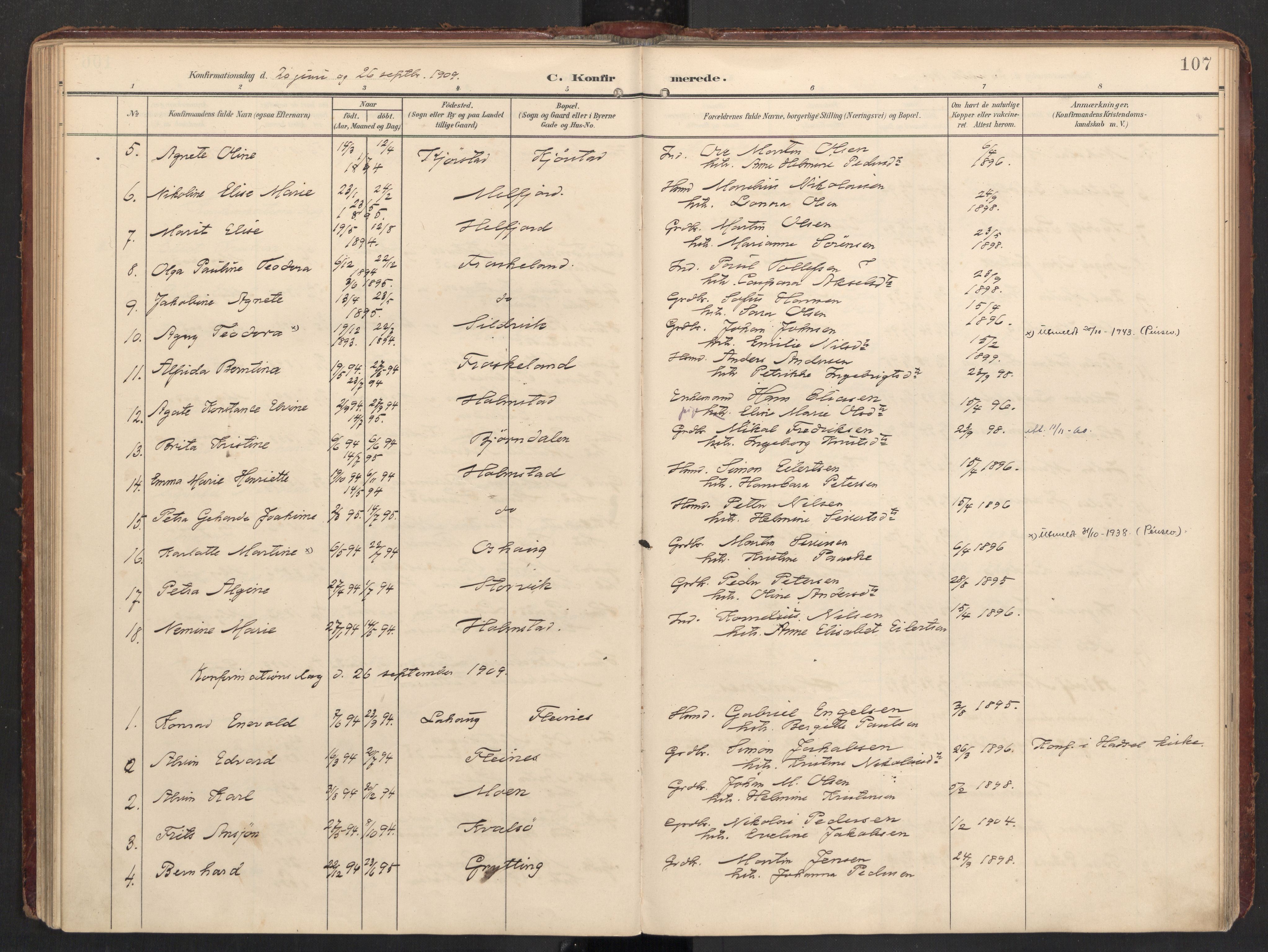 Ministerialprotokoller, klokkerbøker og fødselsregistre - Nordland, SAT/A-1459/890/L1287: Parish register (official) no. 890A02, 1903-1915, p. 107