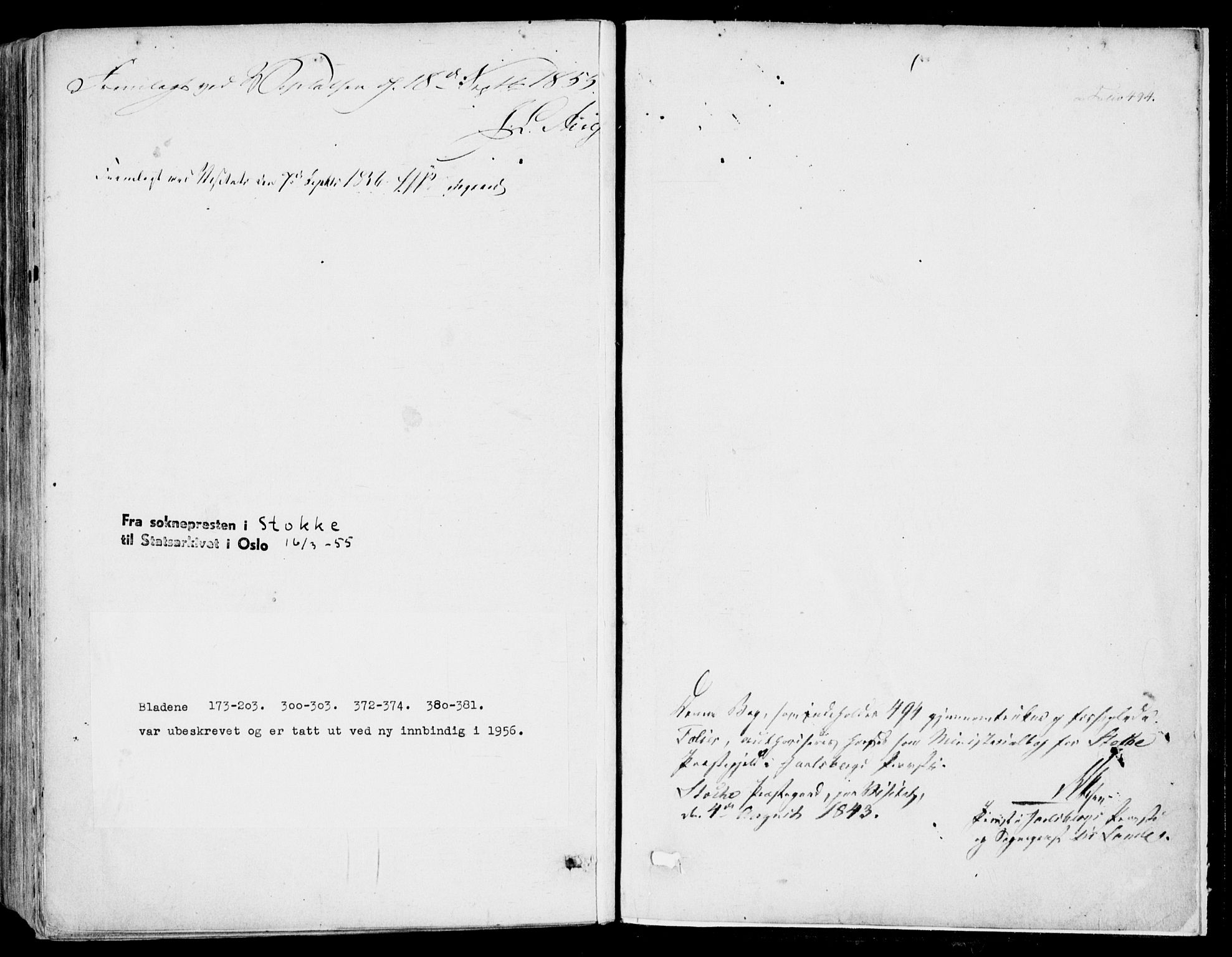 Stokke kirkebøker, AV/SAKO-A-320/F/Fa/L0007: Parish register (official) no. I 7, 1844-1857, p. 494