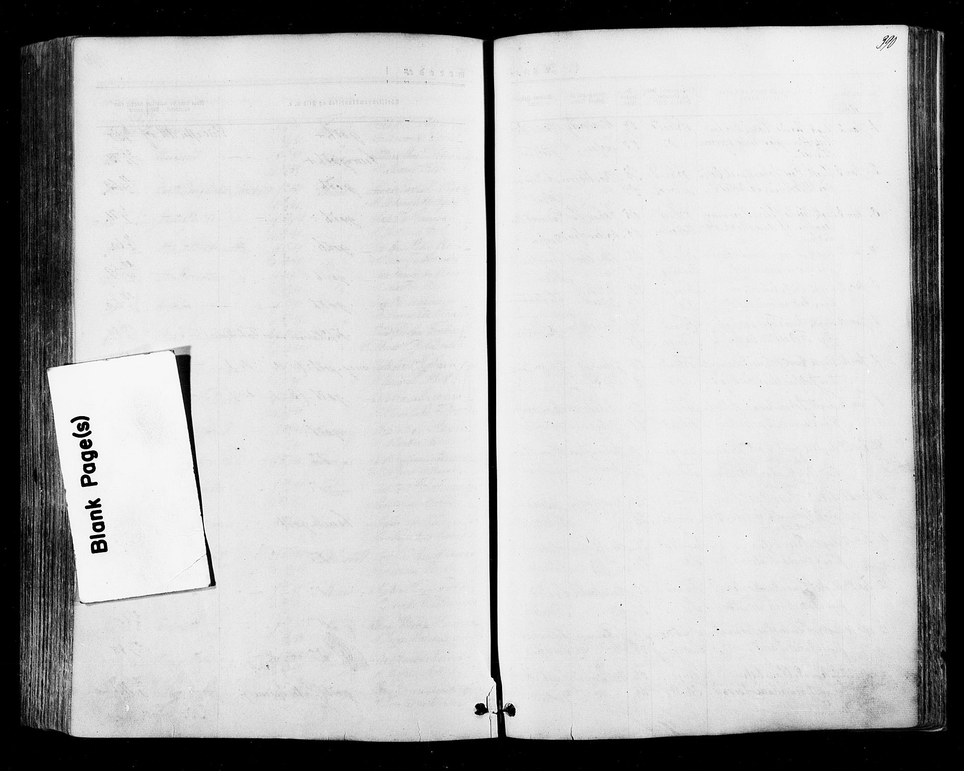 Halden prestekontor Kirkebøker, SAO/A-10909/F/Fa/L0009: Parish register (official) no. I 9, 1866-1877, p. 390