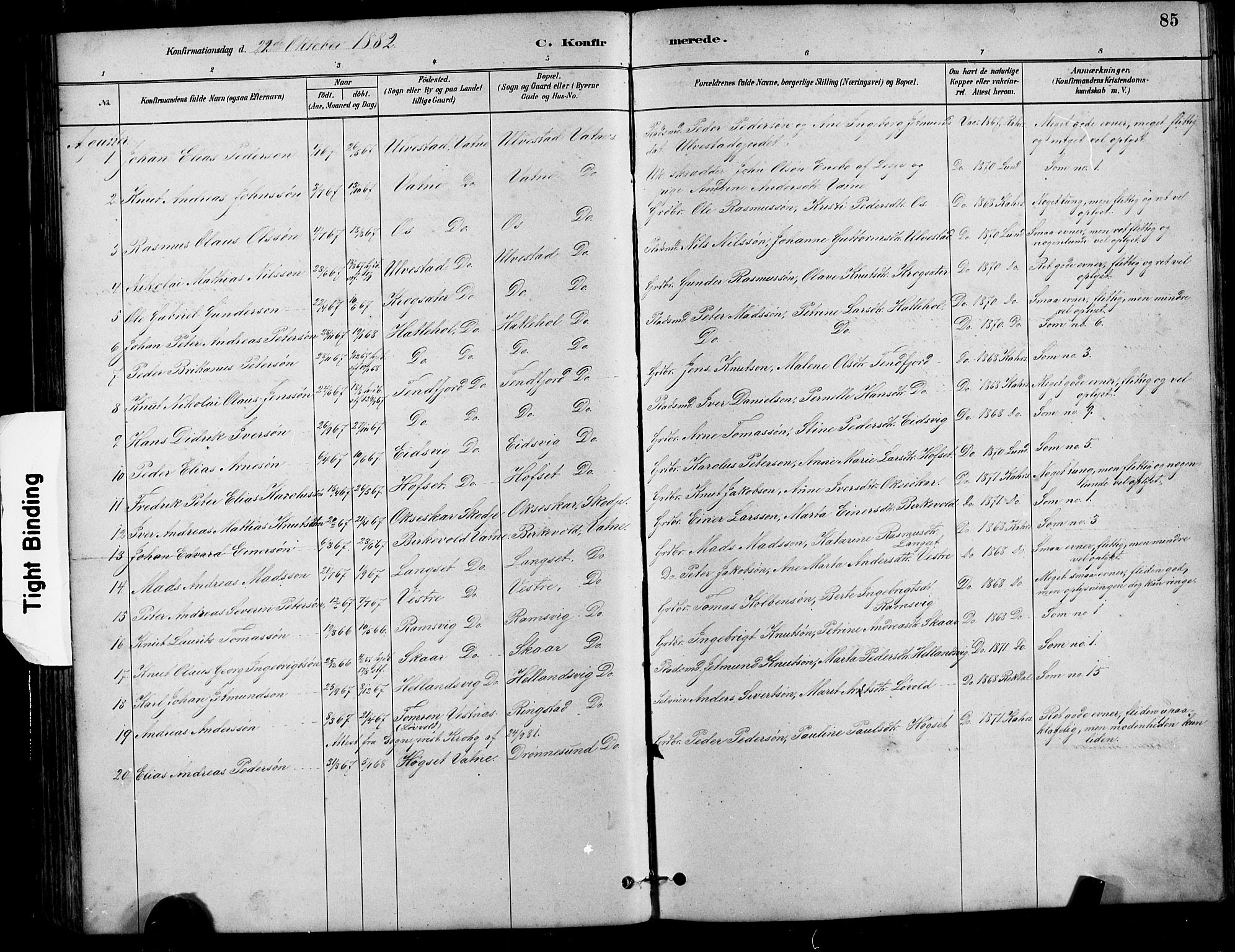 Ministerialprotokoller, klokkerbøker og fødselsregistre - Møre og Romsdal, AV/SAT-A-1454/525/L0376: Parish register (copy) no. 525C02, 1880-1902, p. 85