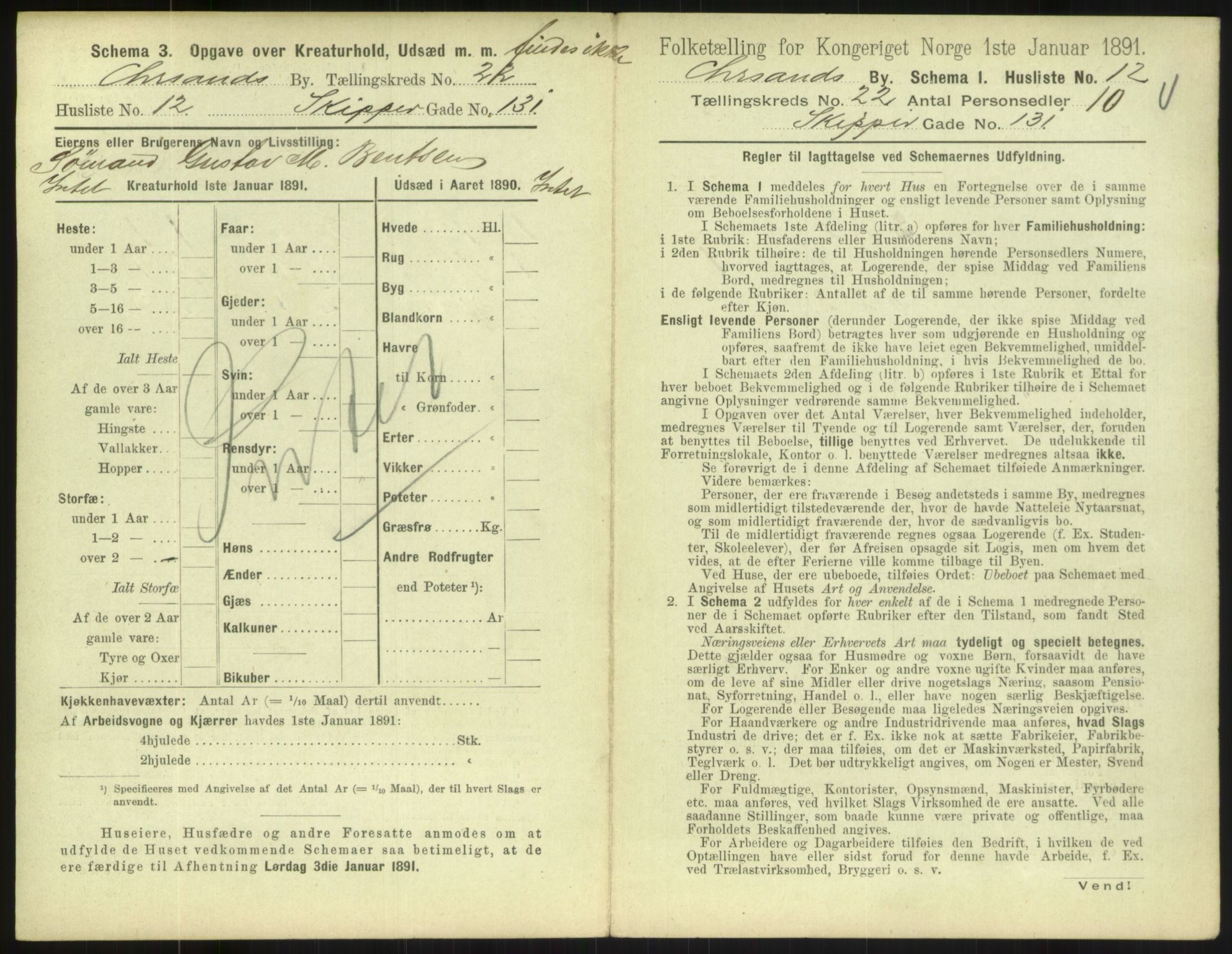 RA, 1891 census for 1001 Kristiansand, 1891, p. 1318