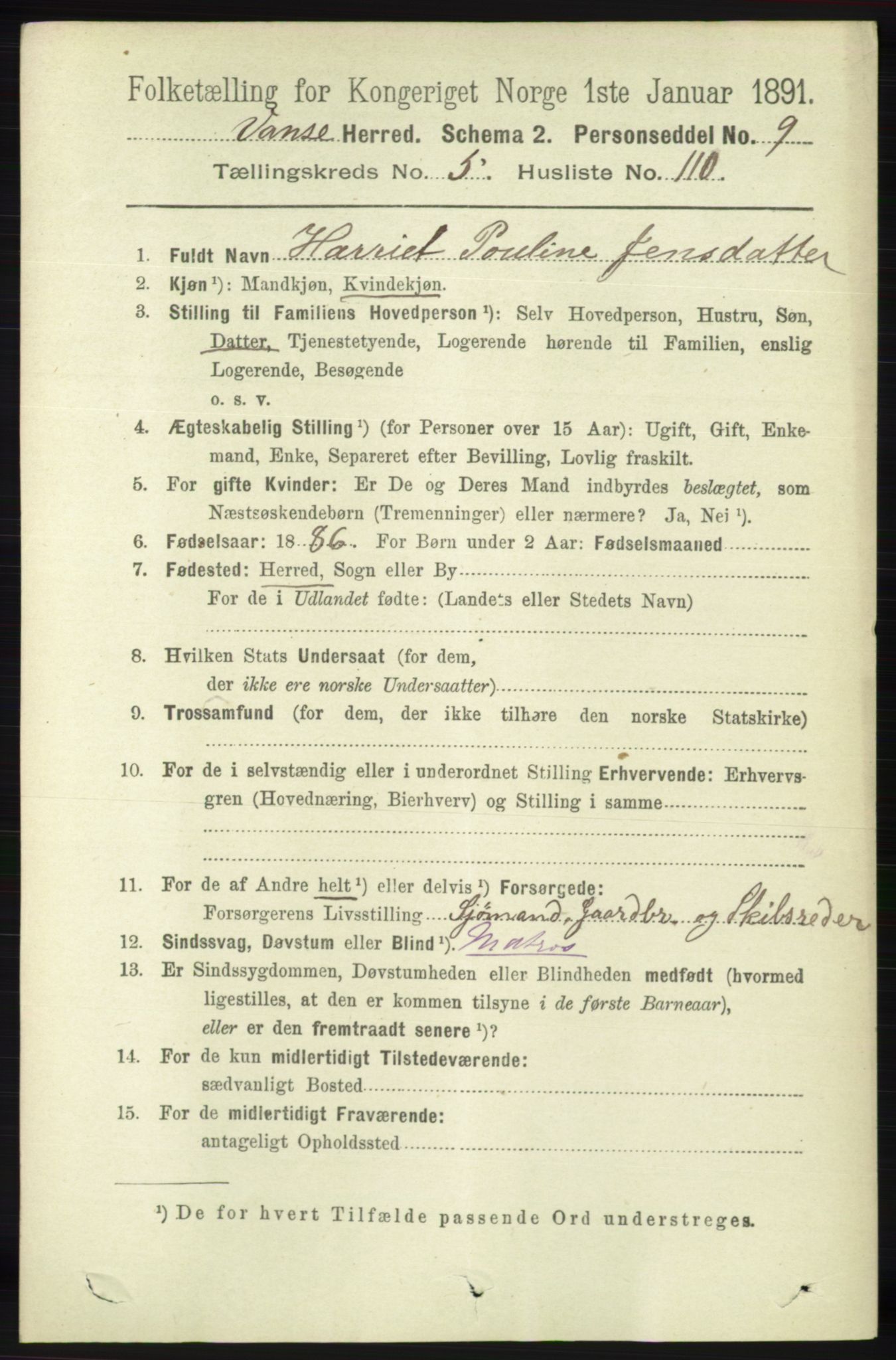 RA, 1891 census for 1041 Vanse, 1891, p. 3393