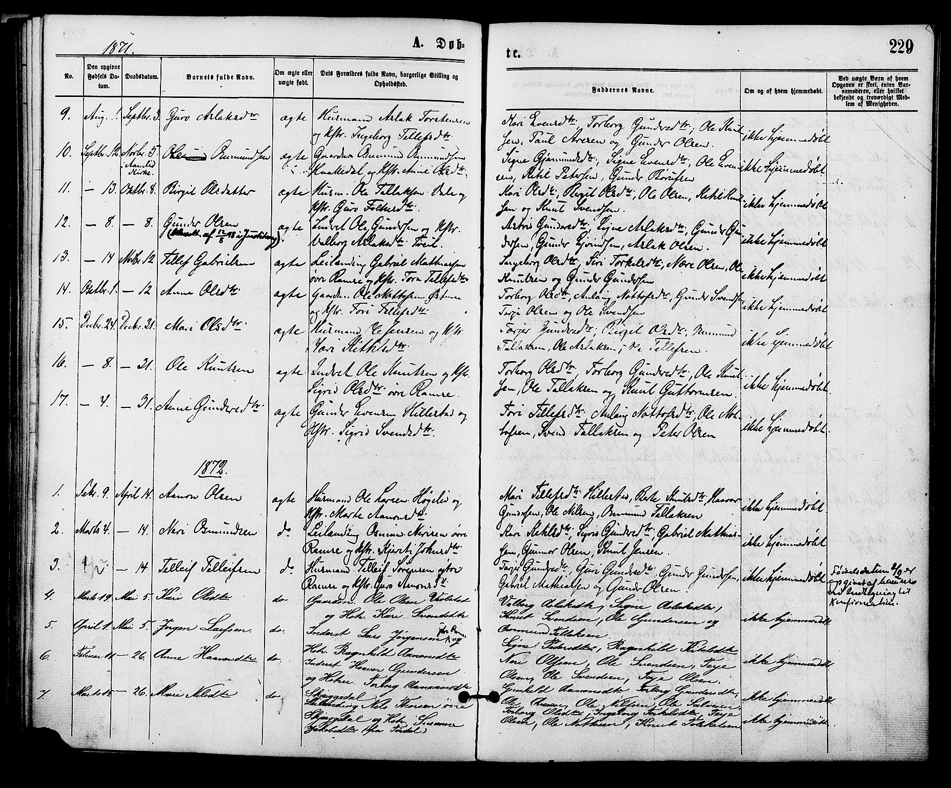 Åmli sokneprestkontor, SAK/1111-0050/F/Fa/Fac/L0009: Parish register (official) no. A 9 /3, 1869-1884, p. 229