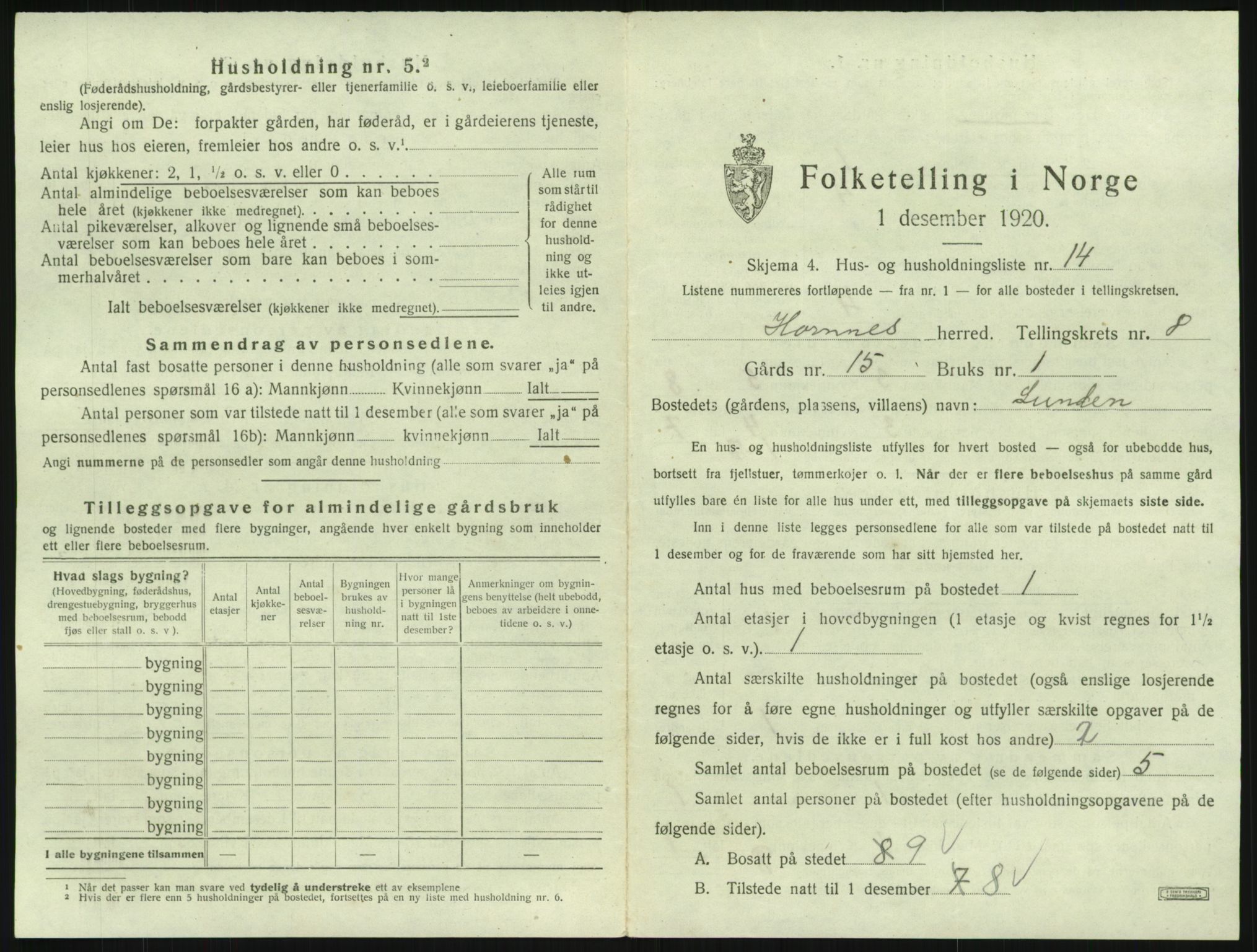 SAK, 1920 census for Hornnes, 1920, p. 321
