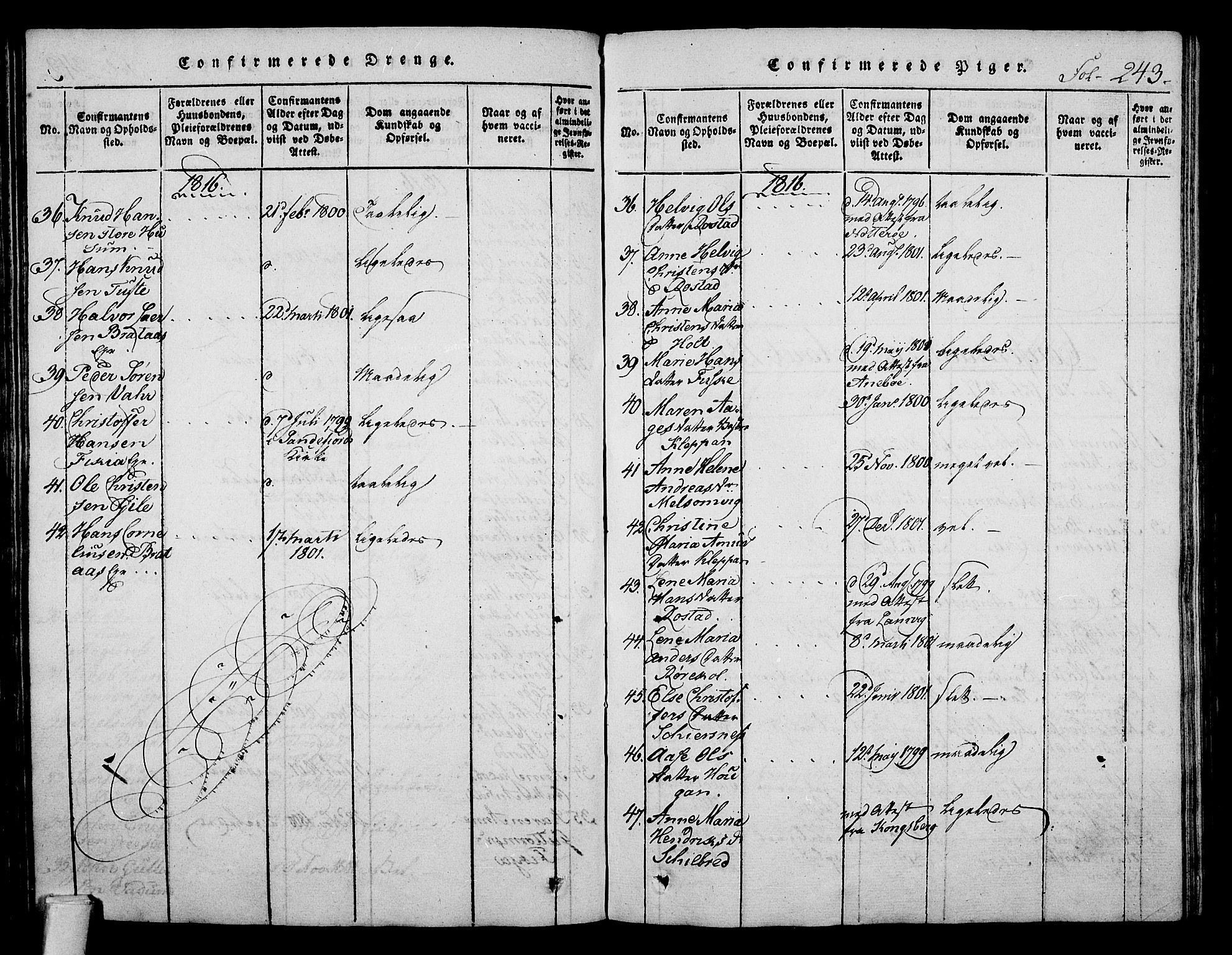 Stokke kirkebøker, AV/SAKO-A-320/F/Fa/L0005: Parish register (official) no. I 5, 1815-1826, p. 243