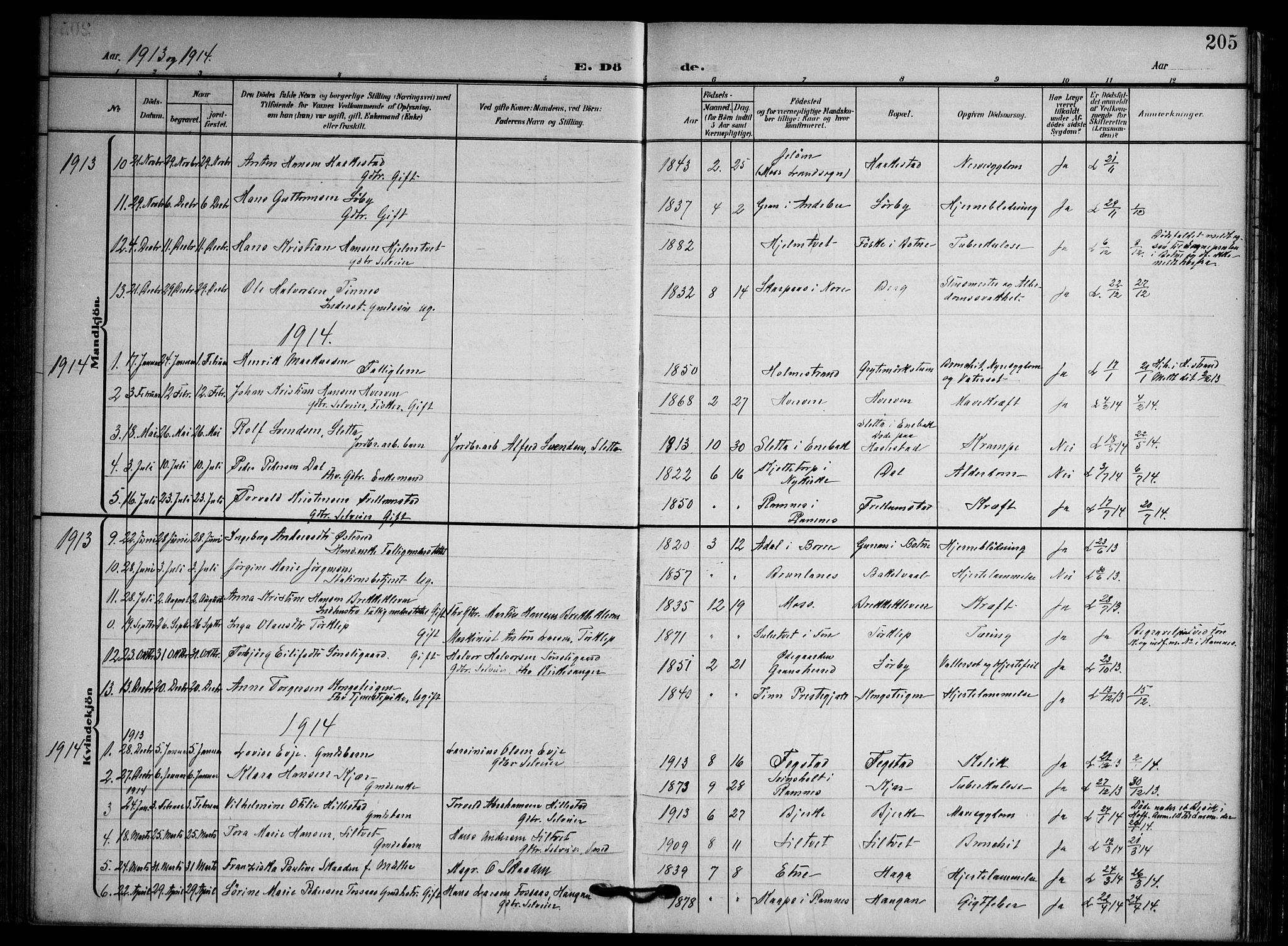 Våle kirkebøker, SAKO/A-334/F/Fa/L0012: Parish register (official) no. I 12, 1907-1934, p. 205