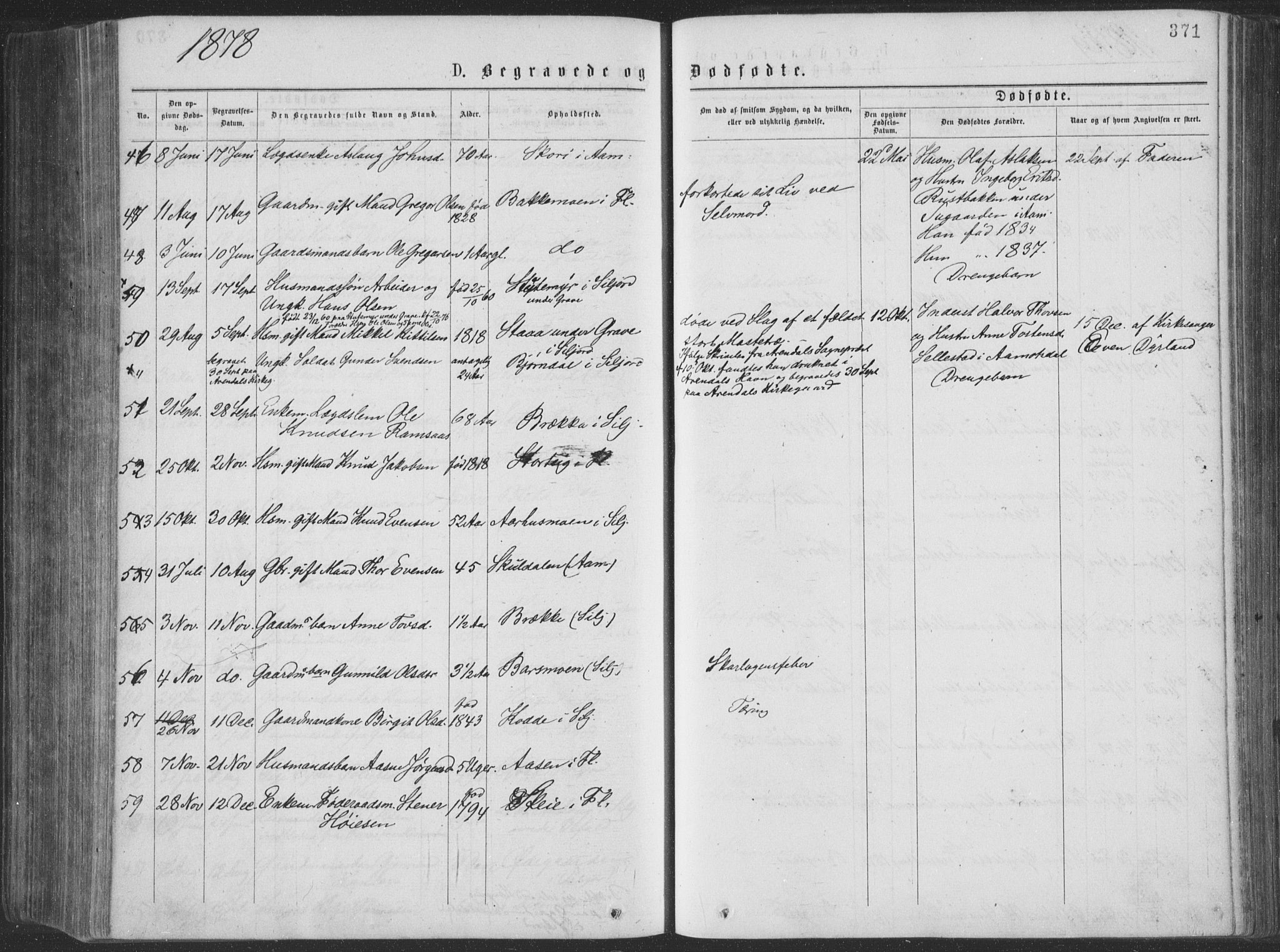 Seljord kirkebøker, AV/SAKO-A-20/F/Fa/L0014: Parish register (official) no. I 14, 1877-1886, p. 371