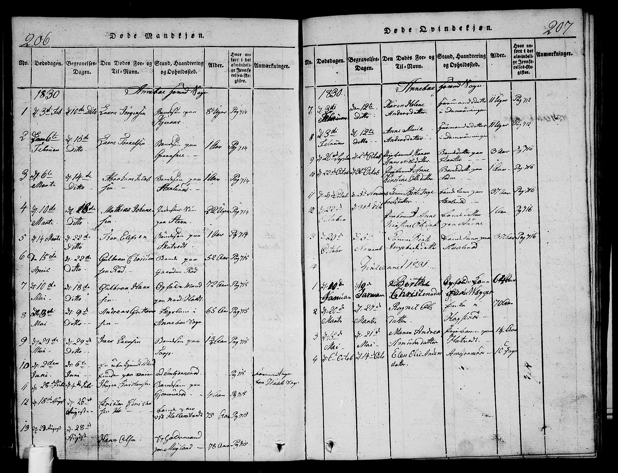 Andebu kirkebøker, AV/SAKO-A-336/G/Ga/L0002: Parish register (copy) no. I 2 /1, 1823-1832, p. 206-207